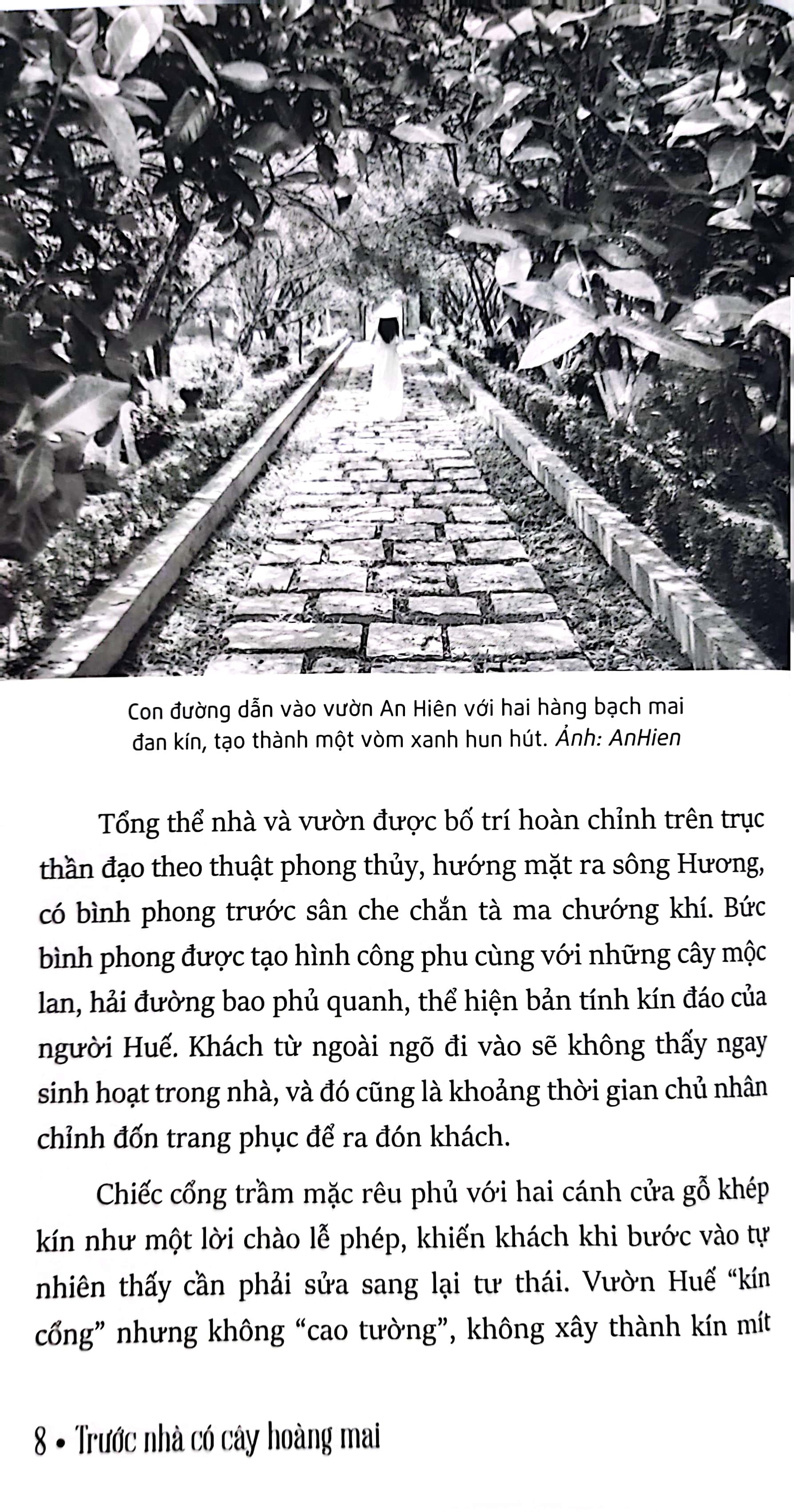 trước nhà có cây hoàng mai - những ghi chép về huế - xứ sở phong rêu kiêu sa (tái bản 2024)