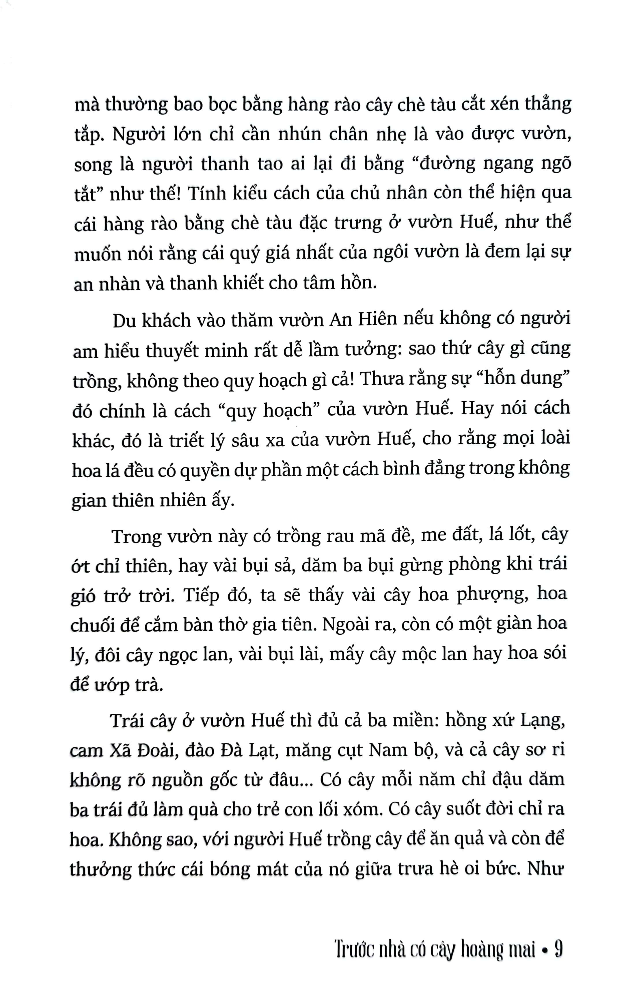 trước nhà có cây hoàng mai - những ghi chép về huế - xứ sở phong rêu kiêu sa (tái bản 2024)