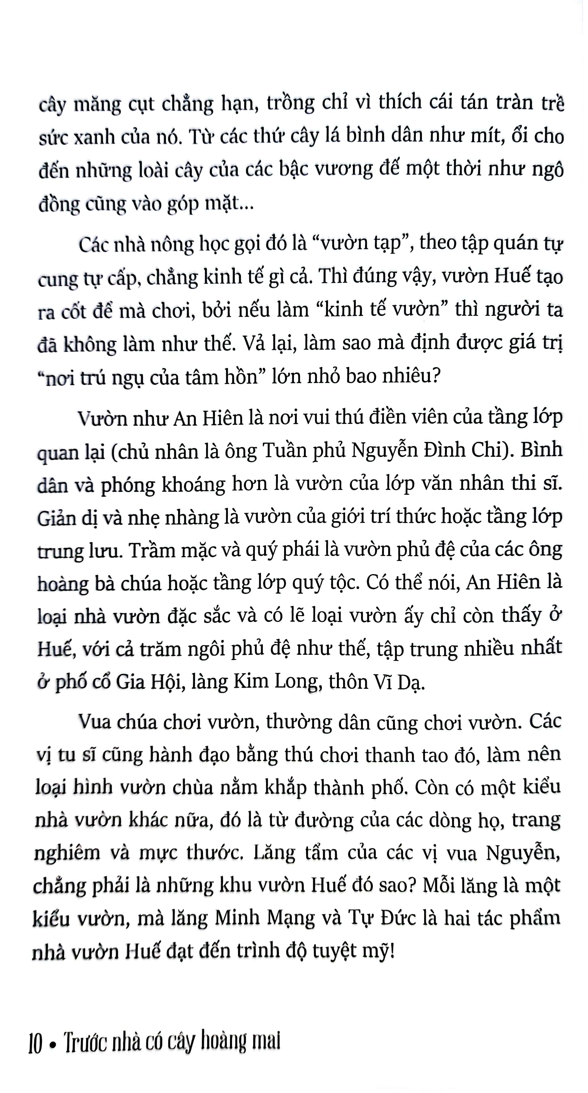 trước nhà có cây hoàng mai - những ghi chép về huế - xứ sở phong rêu kiêu sa (tái bản 2024)