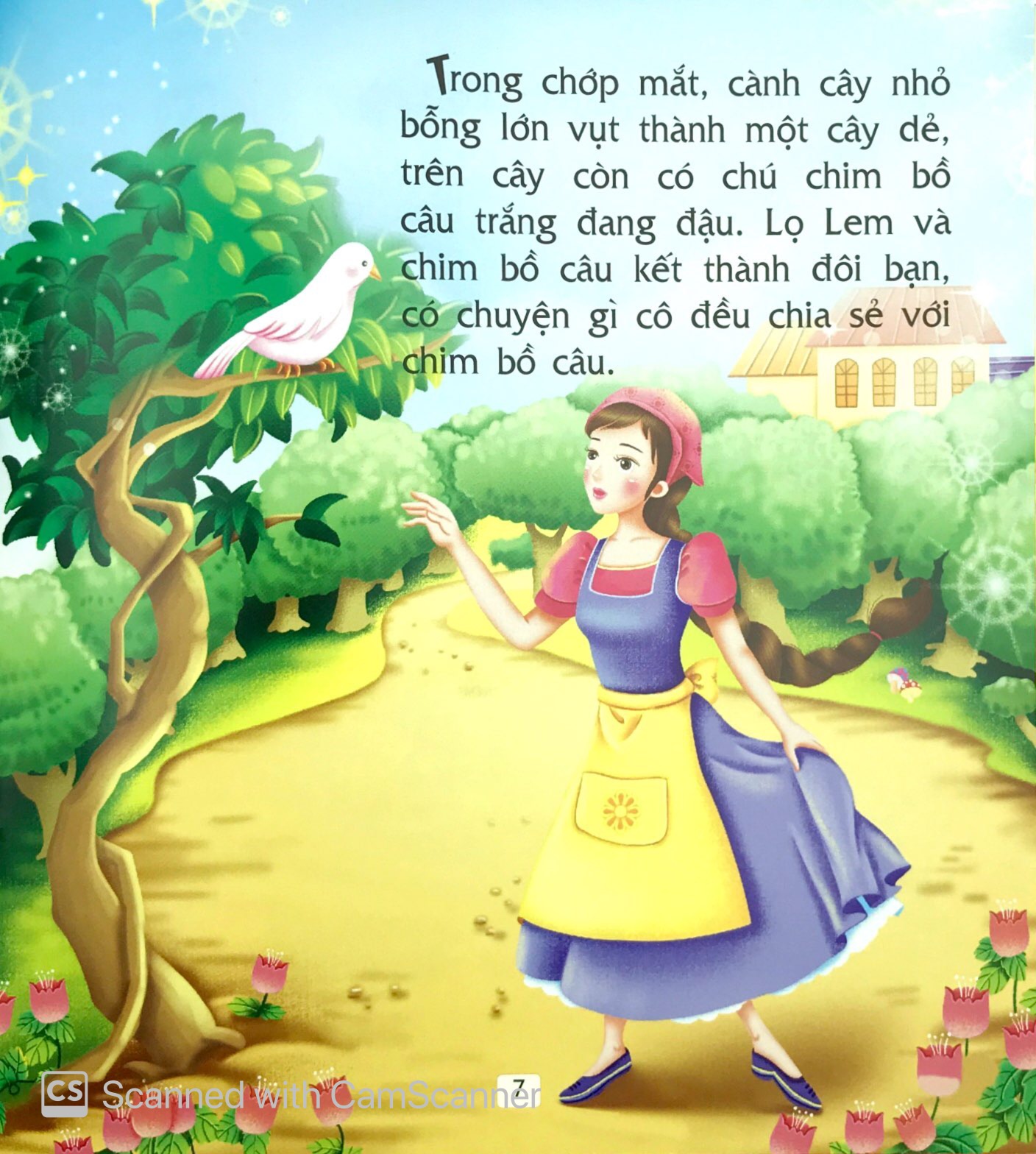 truyện cổ tích thế giới hay nhất - cô bé lọ lem