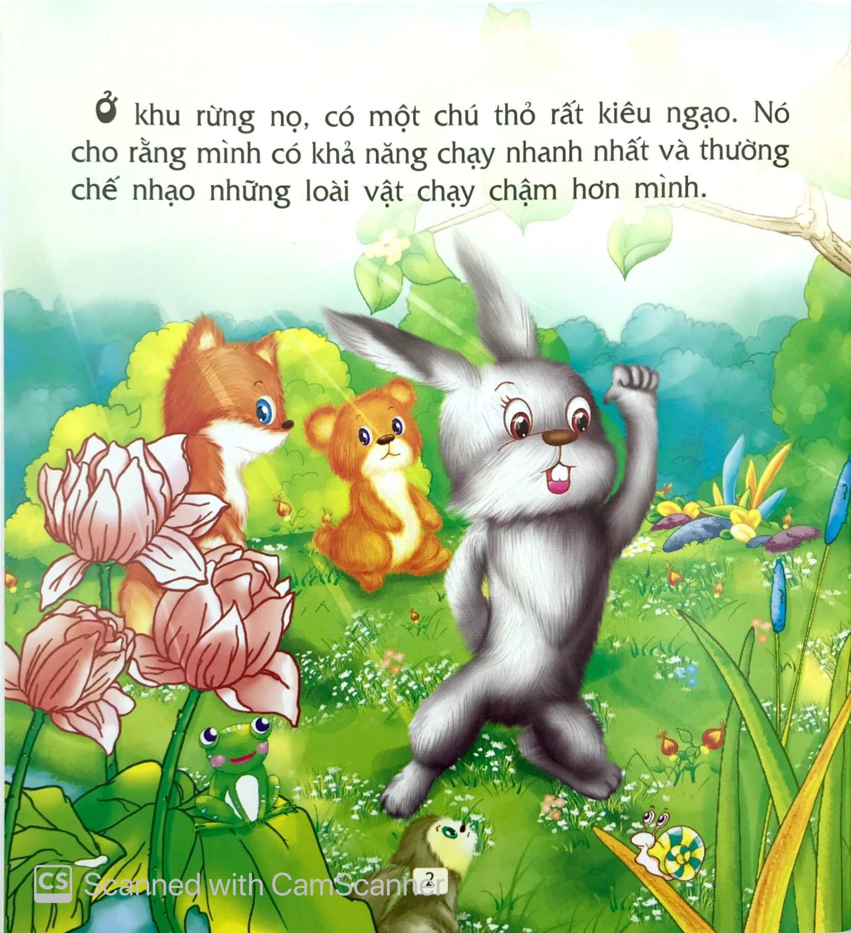 truyện cổ tích thế giới hay nhất - thỏ và rùa chạy thi