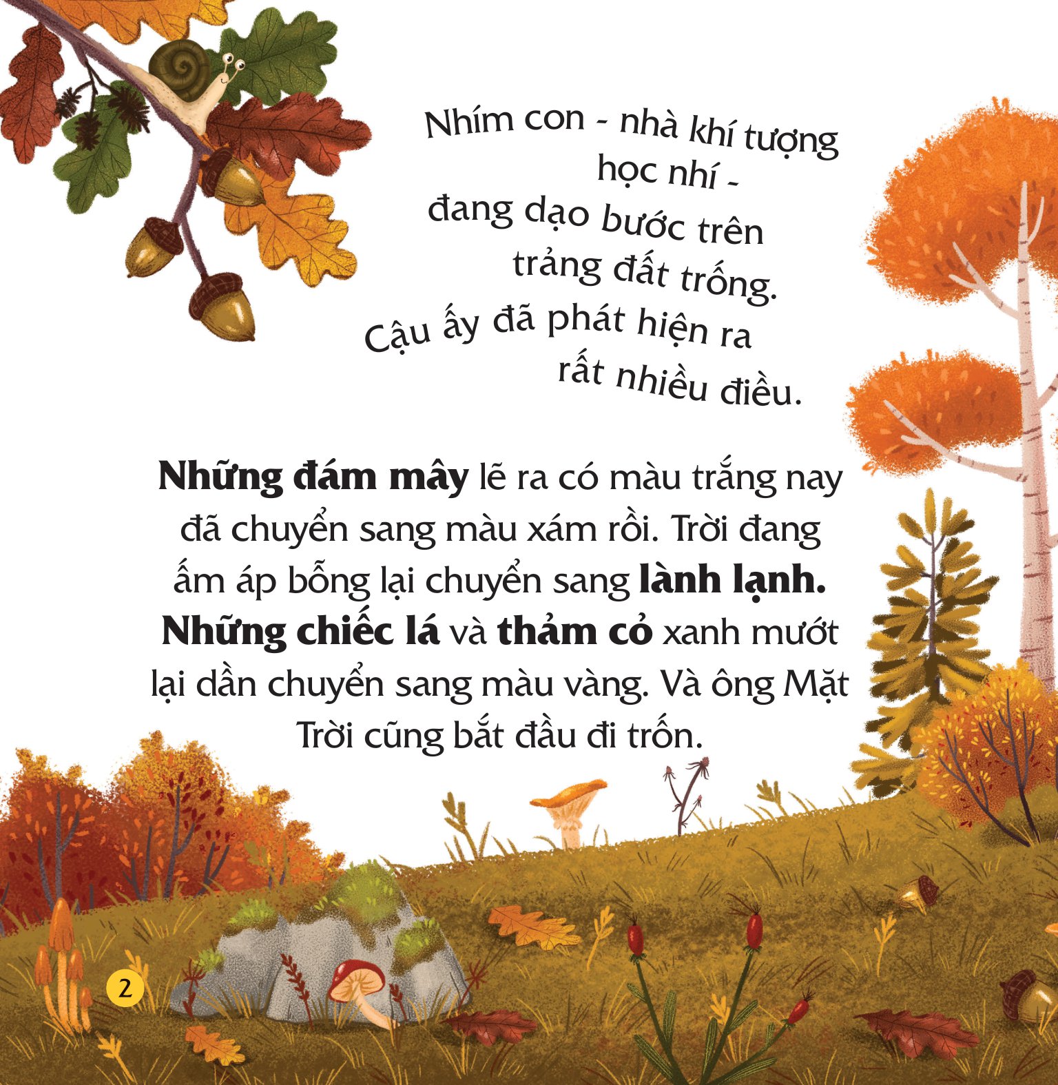 truyện kể bốn mùa - nhím con ham học hỏi - điều kỳ diệu của mùa thu