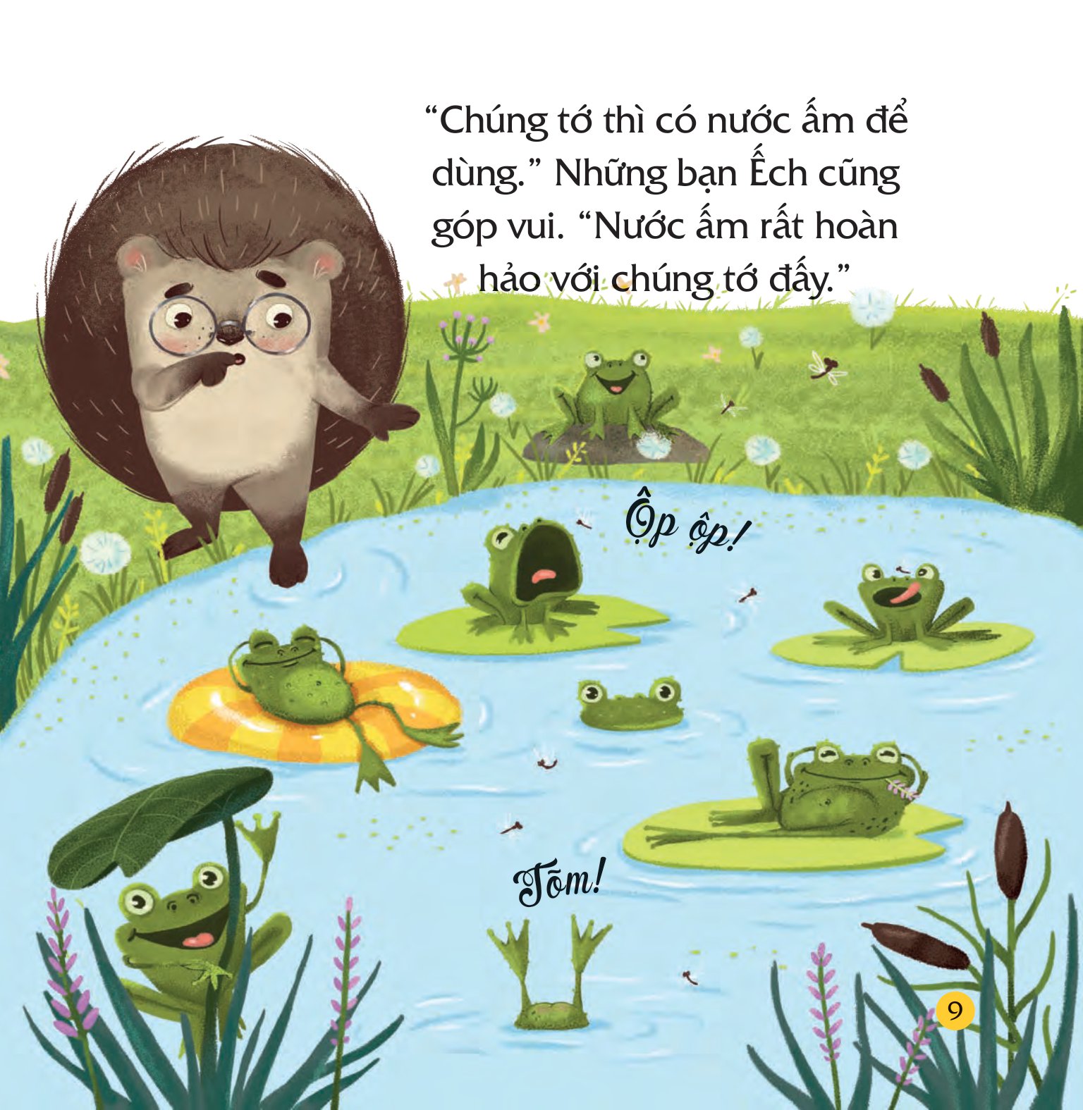 truyện kể bốn mùa - nhím con ham học hỏi - món quà của mùa hè