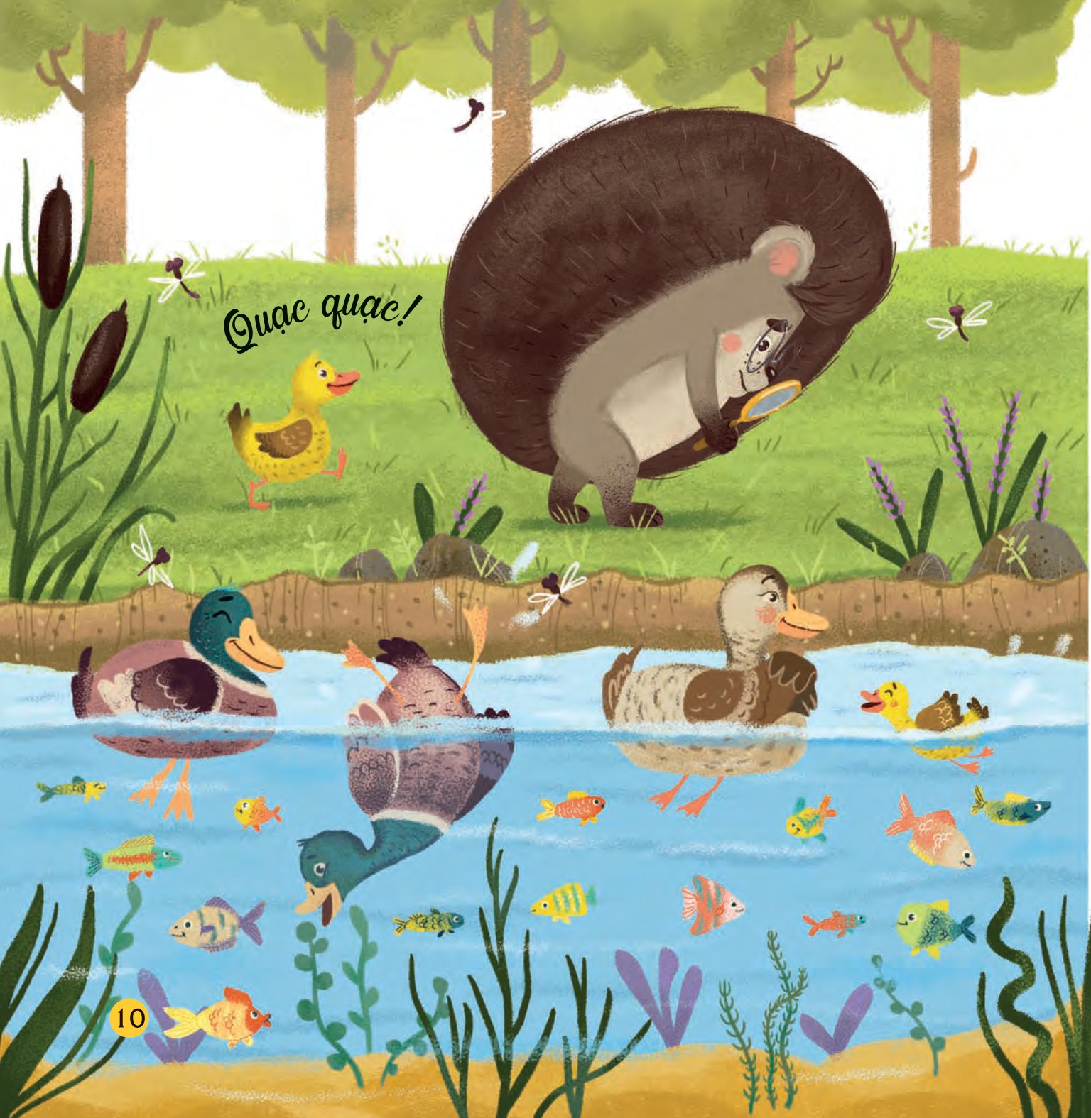 truyện kể bốn mùa - nhím con ham học hỏi - món quà của mùa hè