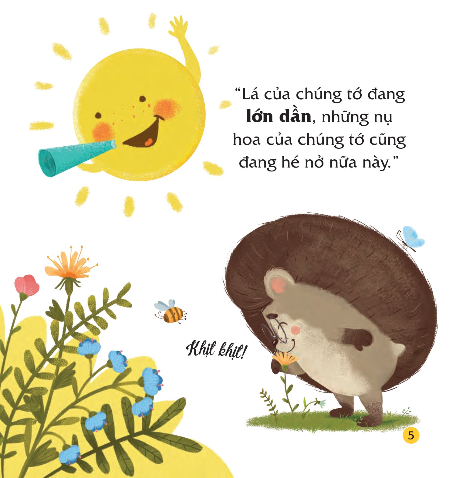 truyện kể bốn mùa - nhím con ham học hỏi - món quà của mùa hè