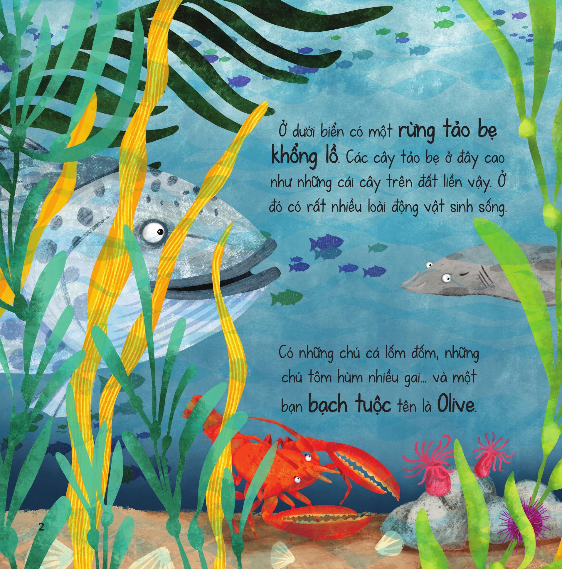 truyện kể từ đại dương - bí ẩn rừng tảo bẹ