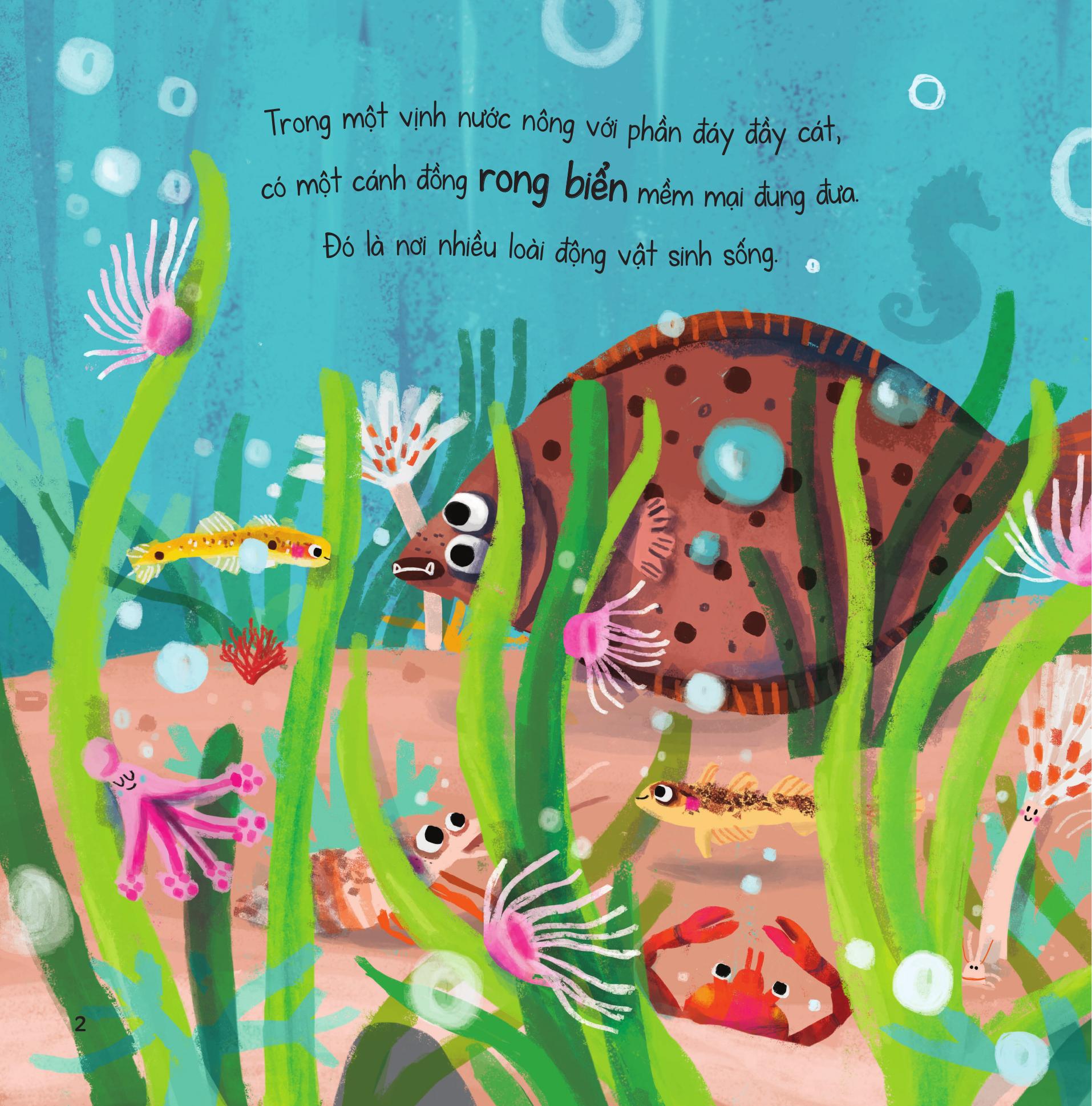 truyện kể từ đại dương - hóa ra tớ cũng thật tuyệt vời!