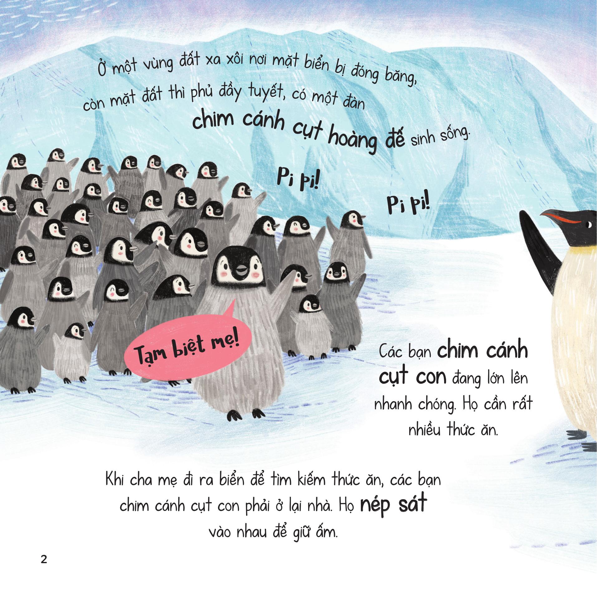 truyện kể từ đại dương - lòng tốt nơi biển cả lạnh giá