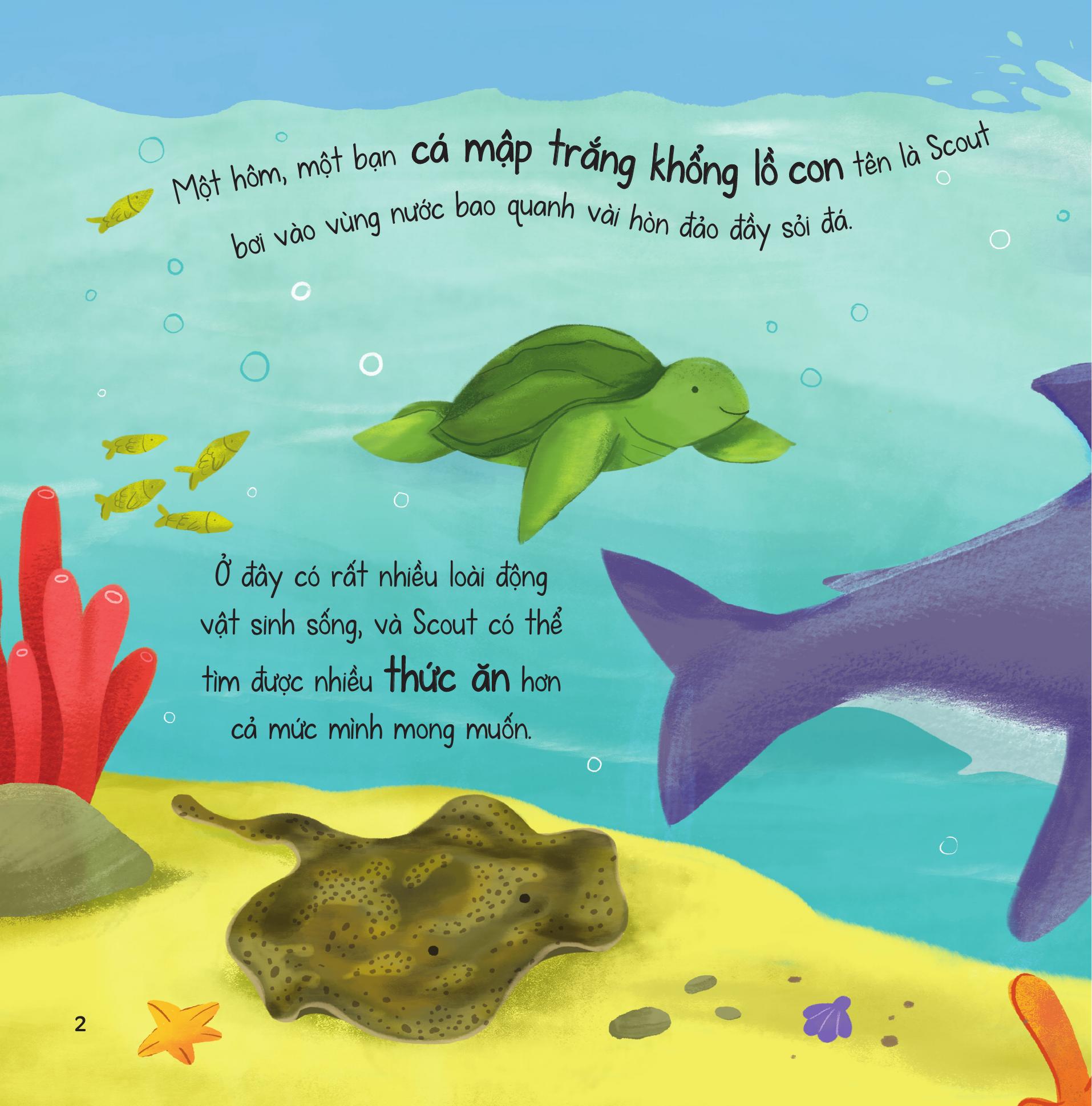 truyện kể từ đại dương - những tài năng đặc biệt