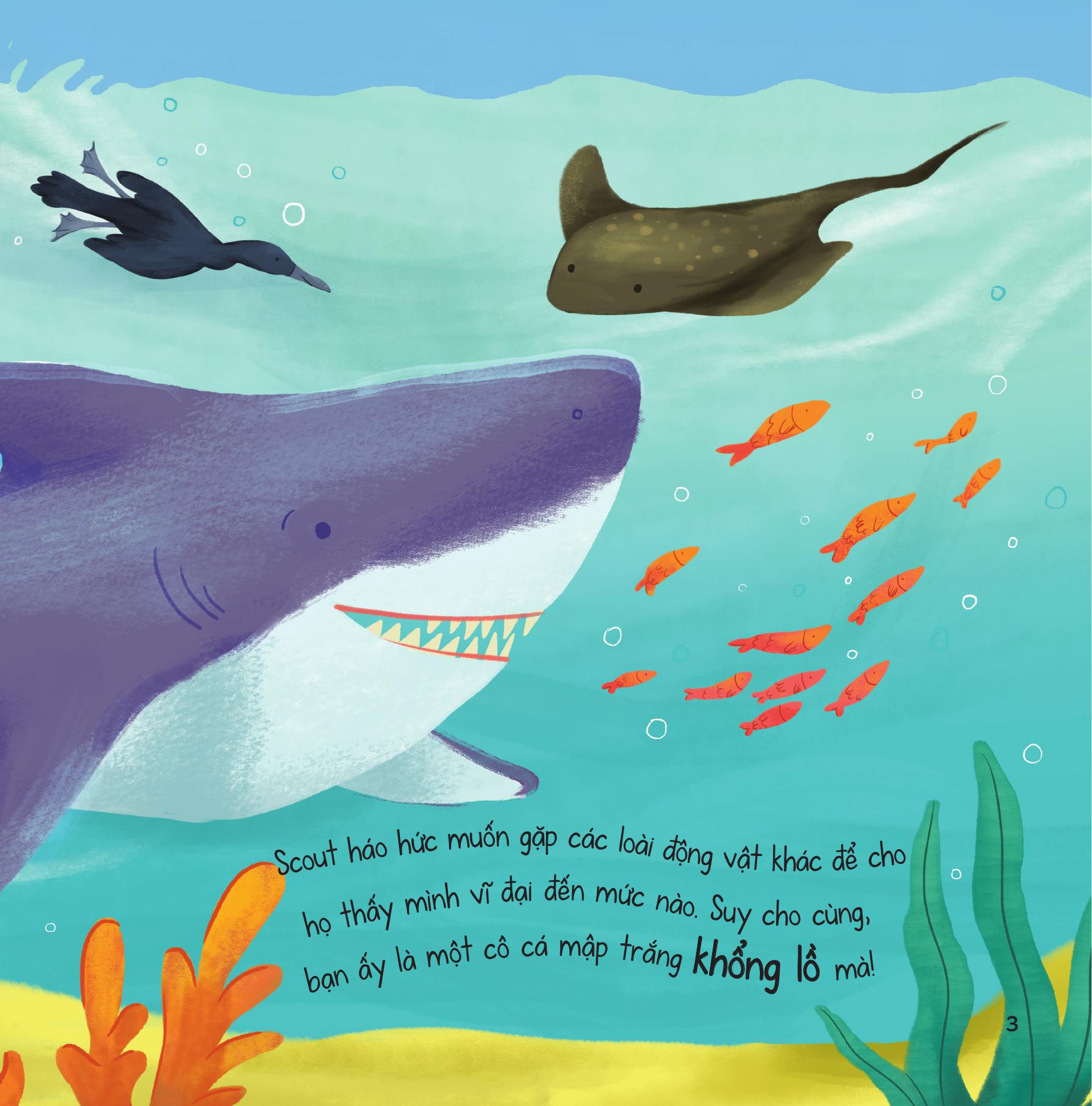 truyện kể từ đại dương - những tài năng đặc biệt