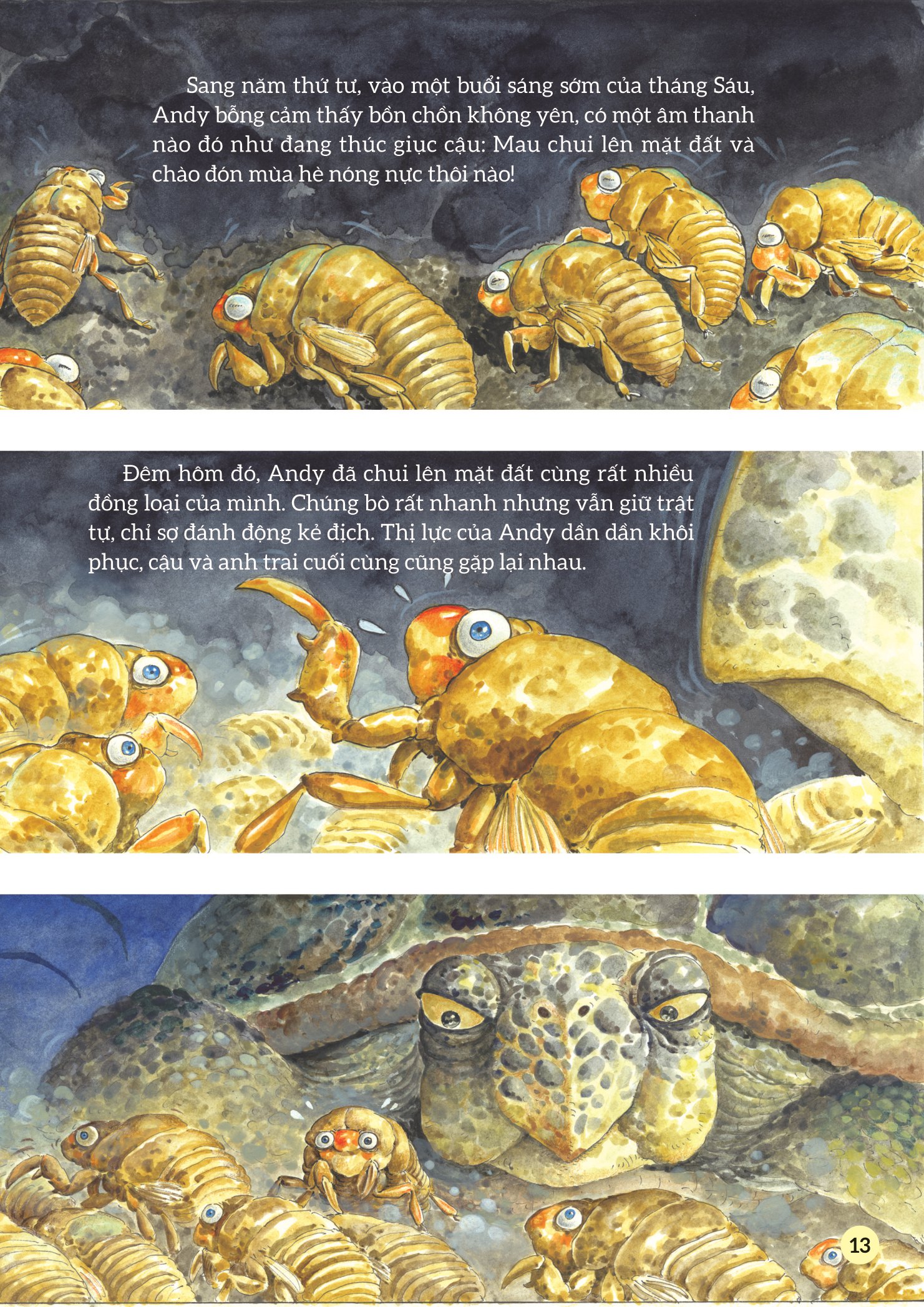 truyện tranh khoa học về các loài côn trùng - ca sĩ nhiệt tình - ve sầu