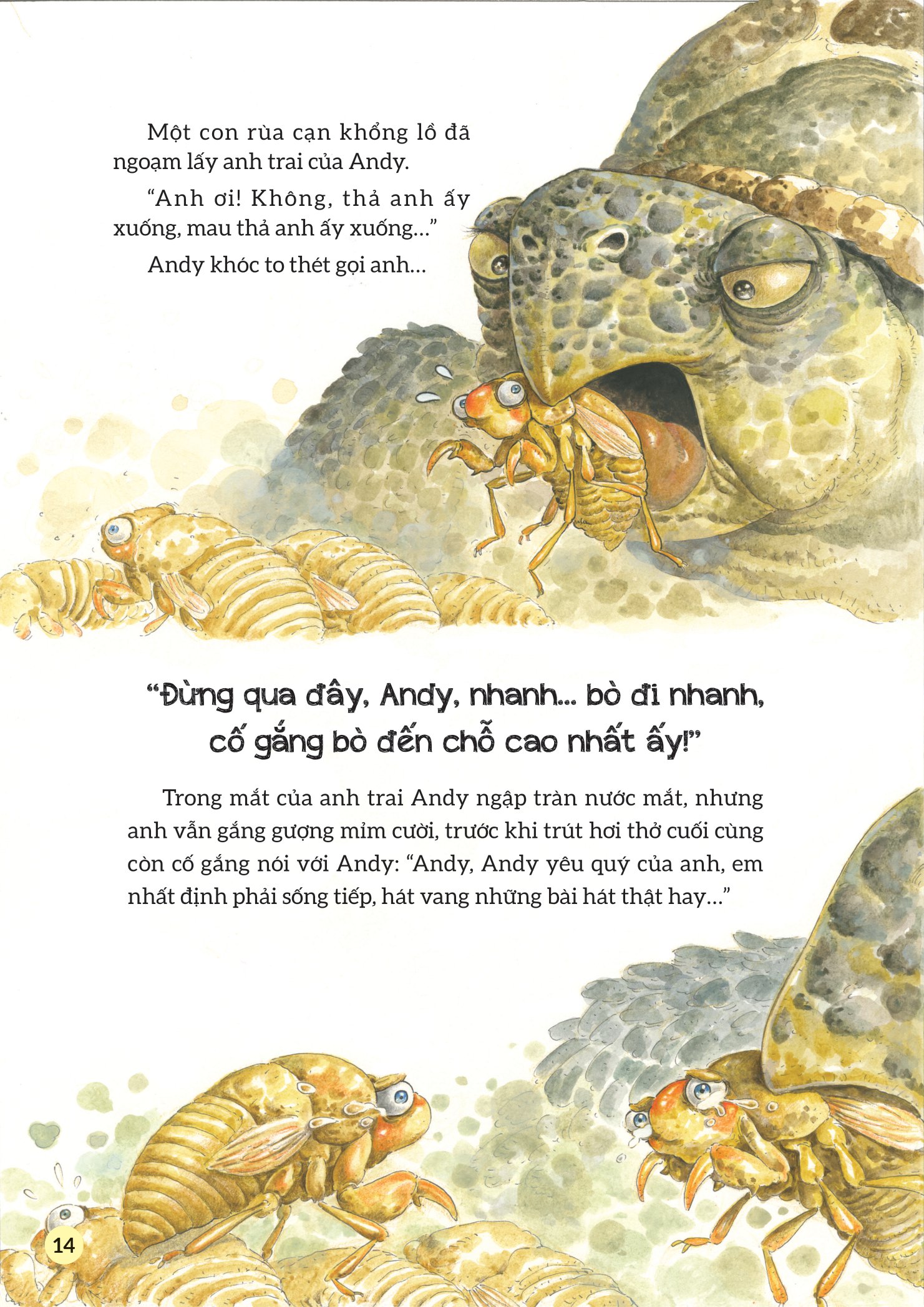 truyện tranh khoa học về các loài côn trùng - ca sĩ nhiệt tình - ve sầu