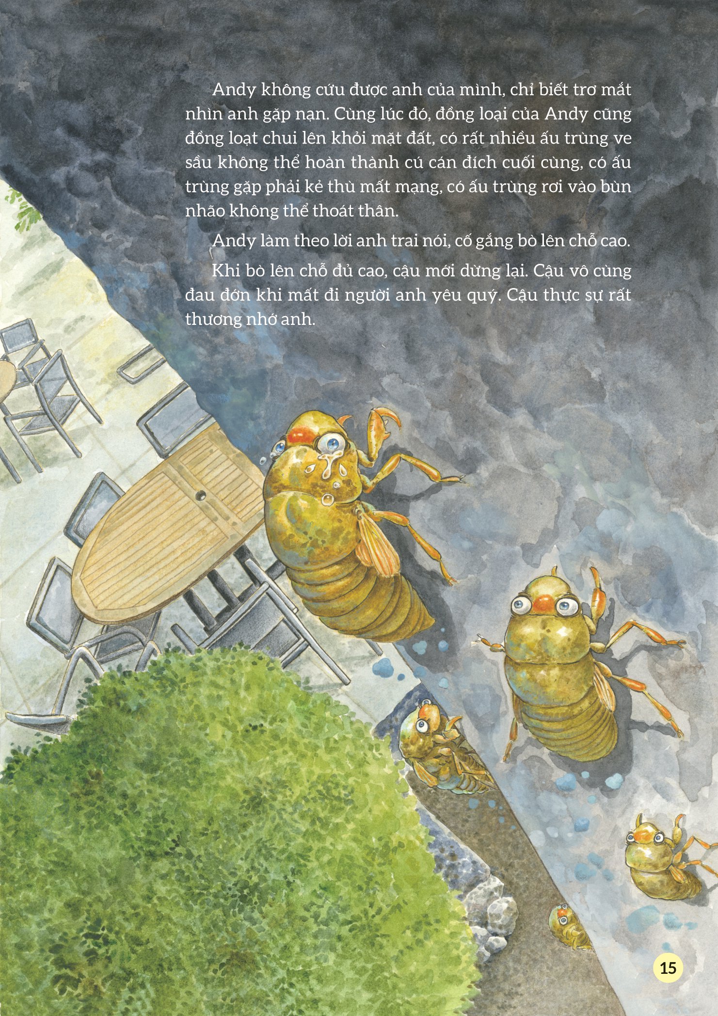 truyện tranh khoa học về các loài côn trùng - ca sĩ nhiệt tình - ve sầu