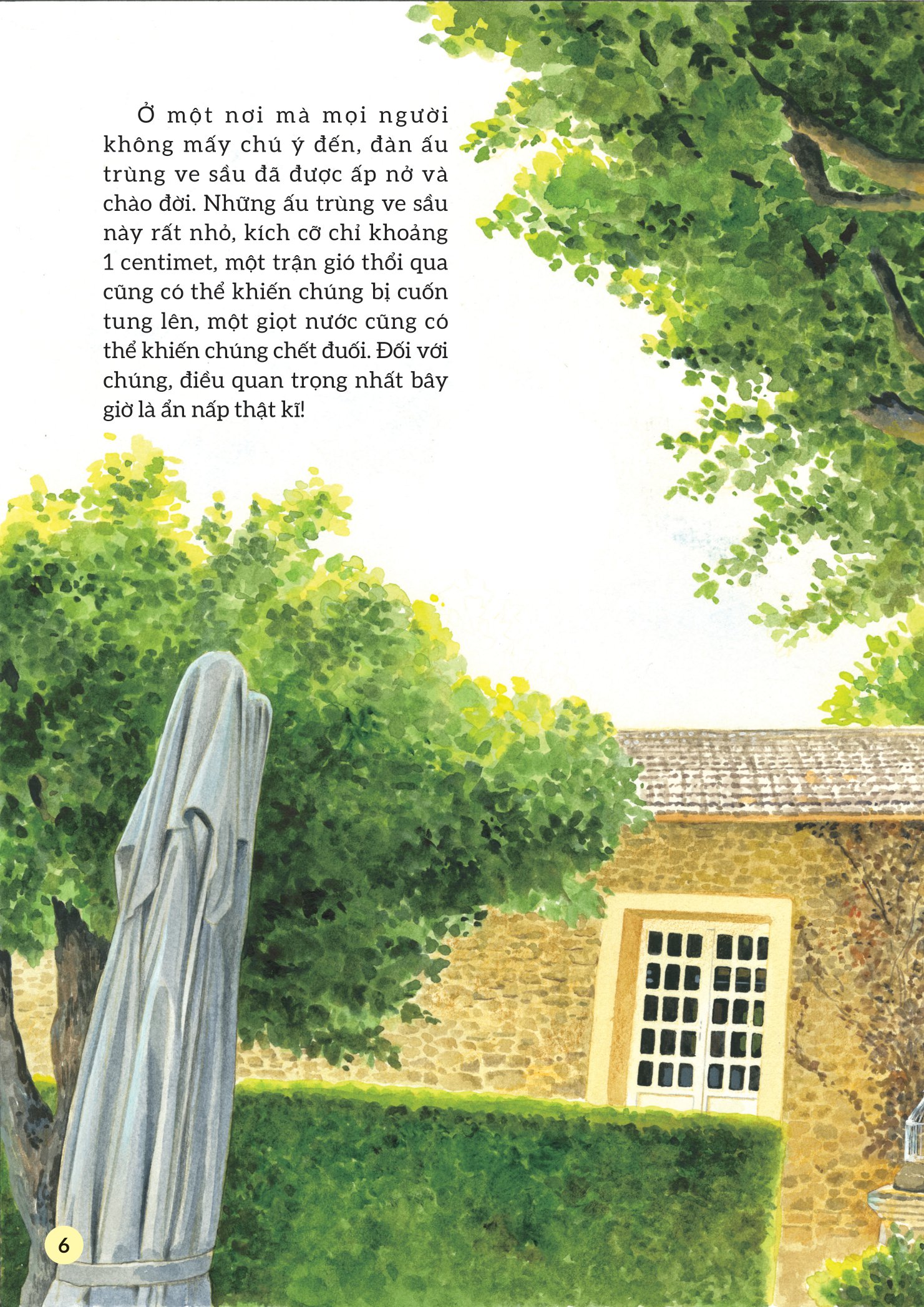 truyện tranh khoa học về các loài côn trùng - ca sĩ nhiệt tình - ve sầu