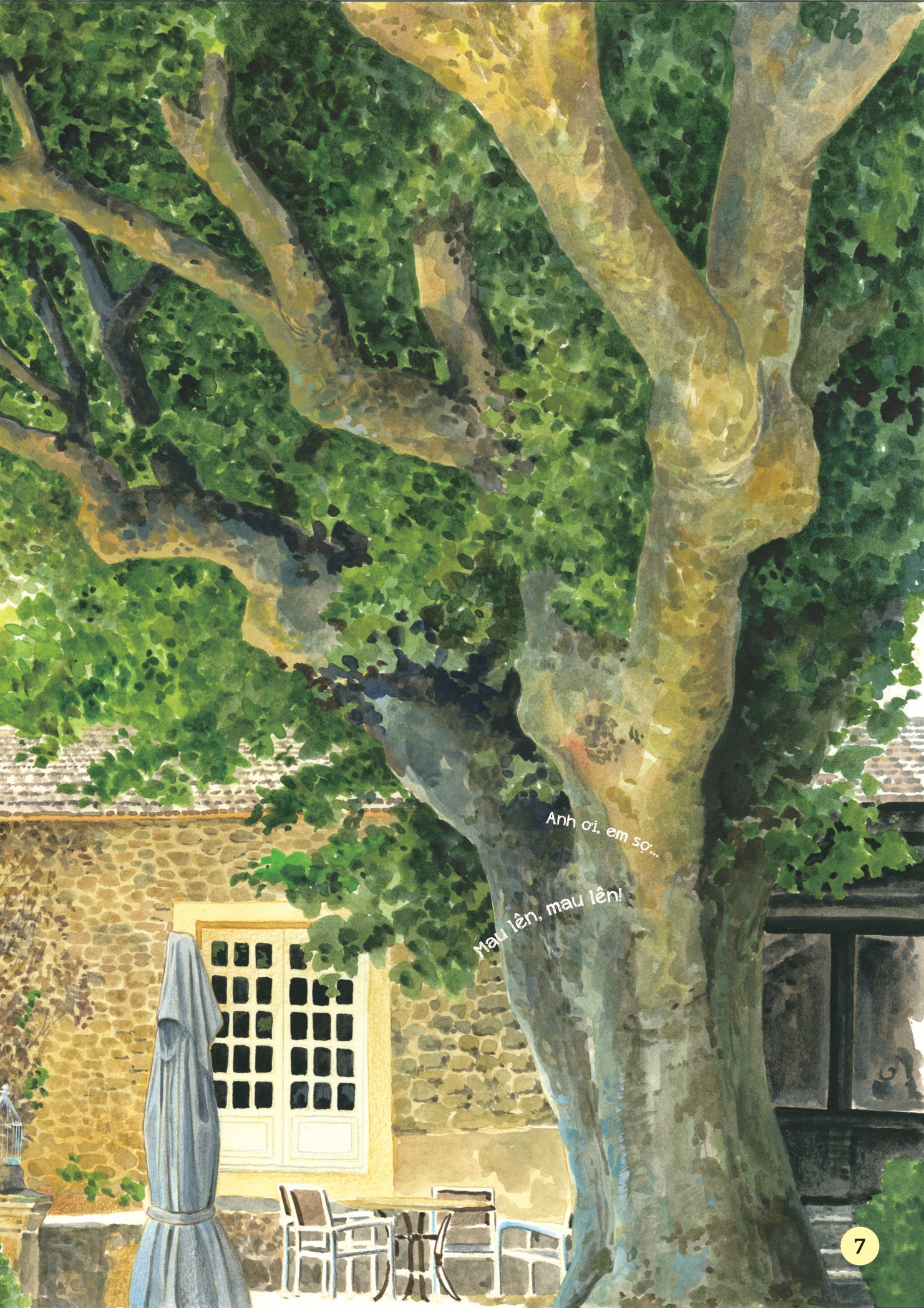 truyện tranh khoa học về các loài côn trùng - ca sĩ nhiệt tình - ve sầu