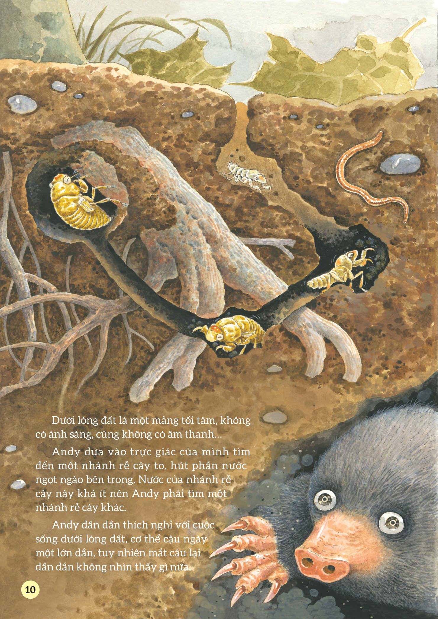 truyện tranh khoa học về các loài côn trùng - ca sĩ nhiệt tình - ve sầu