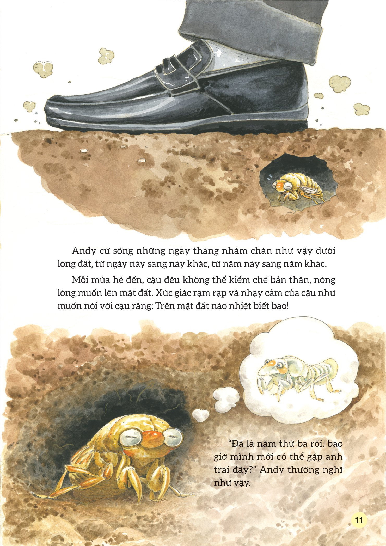 truyện tranh khoa học về các loài côn trùng - ca sĩ nhiệt tình - ve sầu