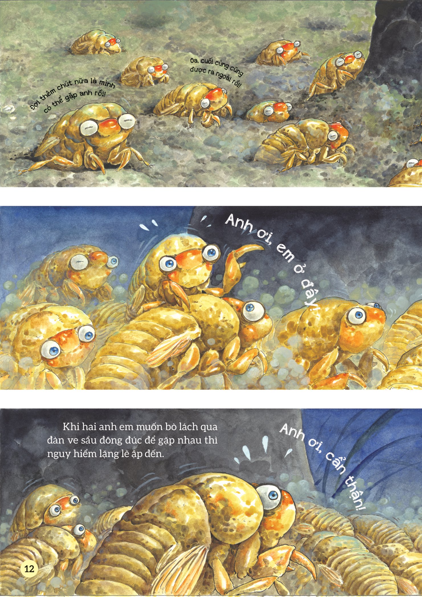 truyện tranh khoa học về các loài côn trùng - ca sĩ nhiệt tình - ve sầu