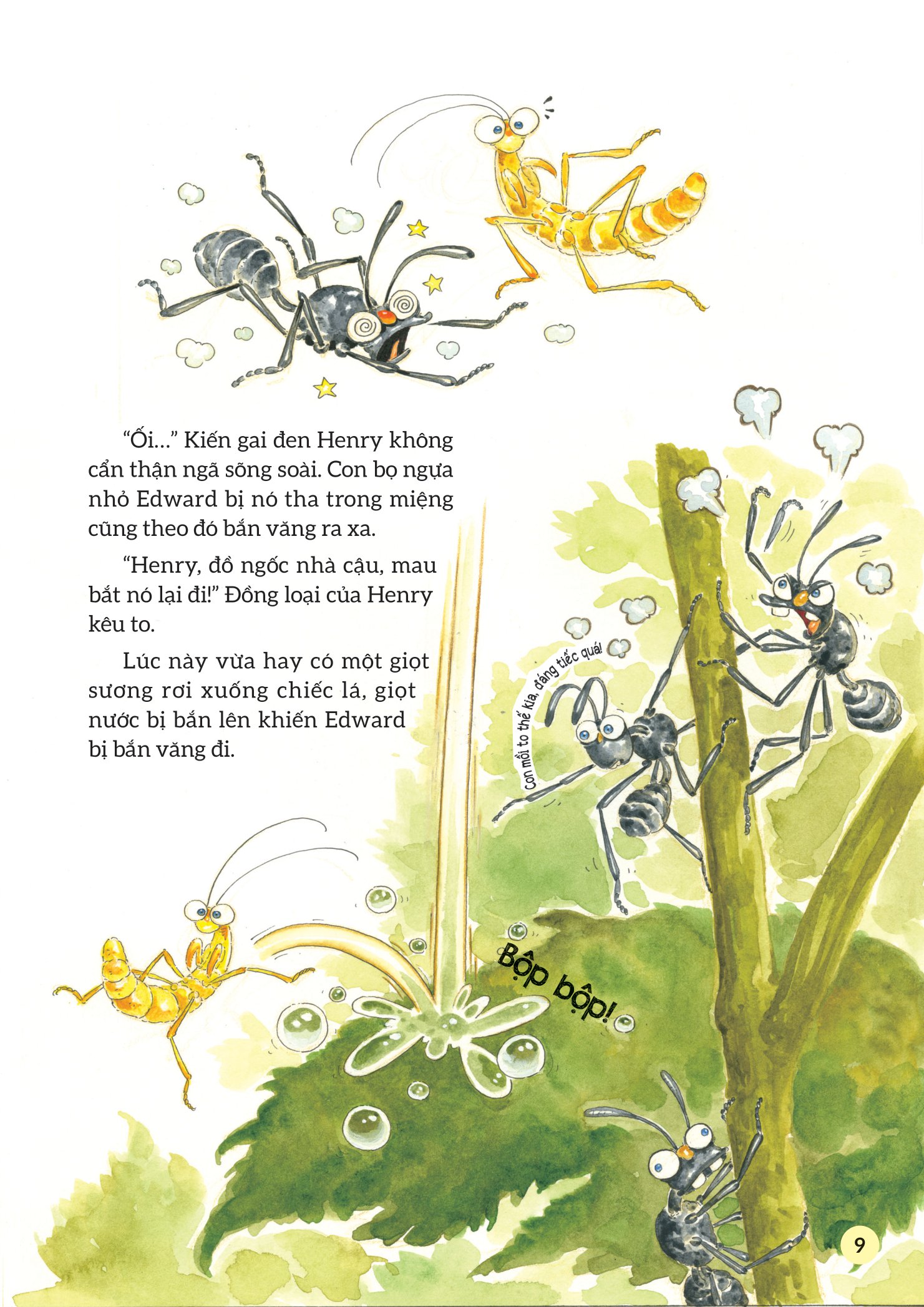 truyện tranh khoa học về các loài côn trùng - hiệp sĩ dũng cảm - bọ ngựa