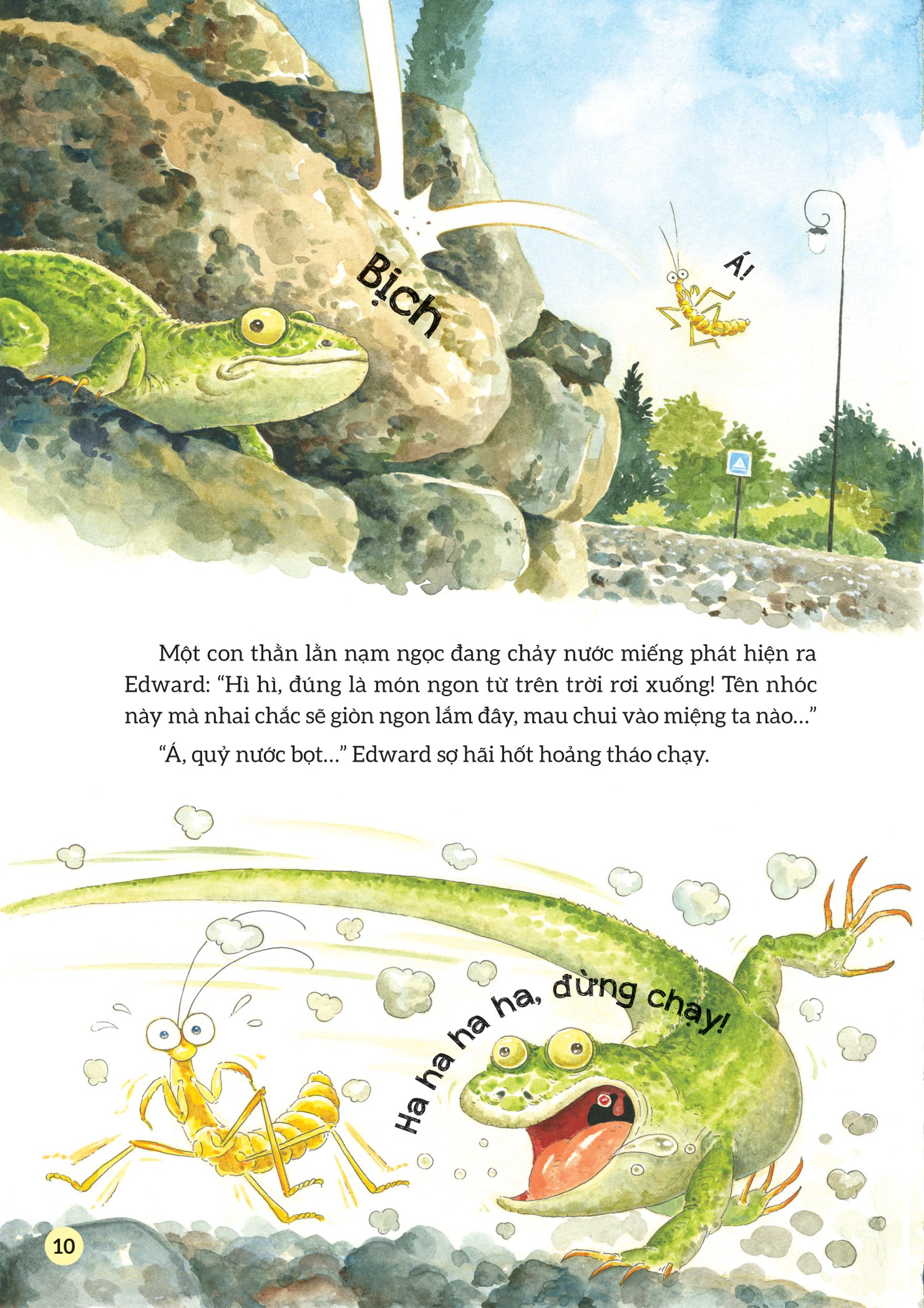 truyện tranh khoa học về các loài côn trùng - hiệp sĩ dũng cảm - bọ ngựa