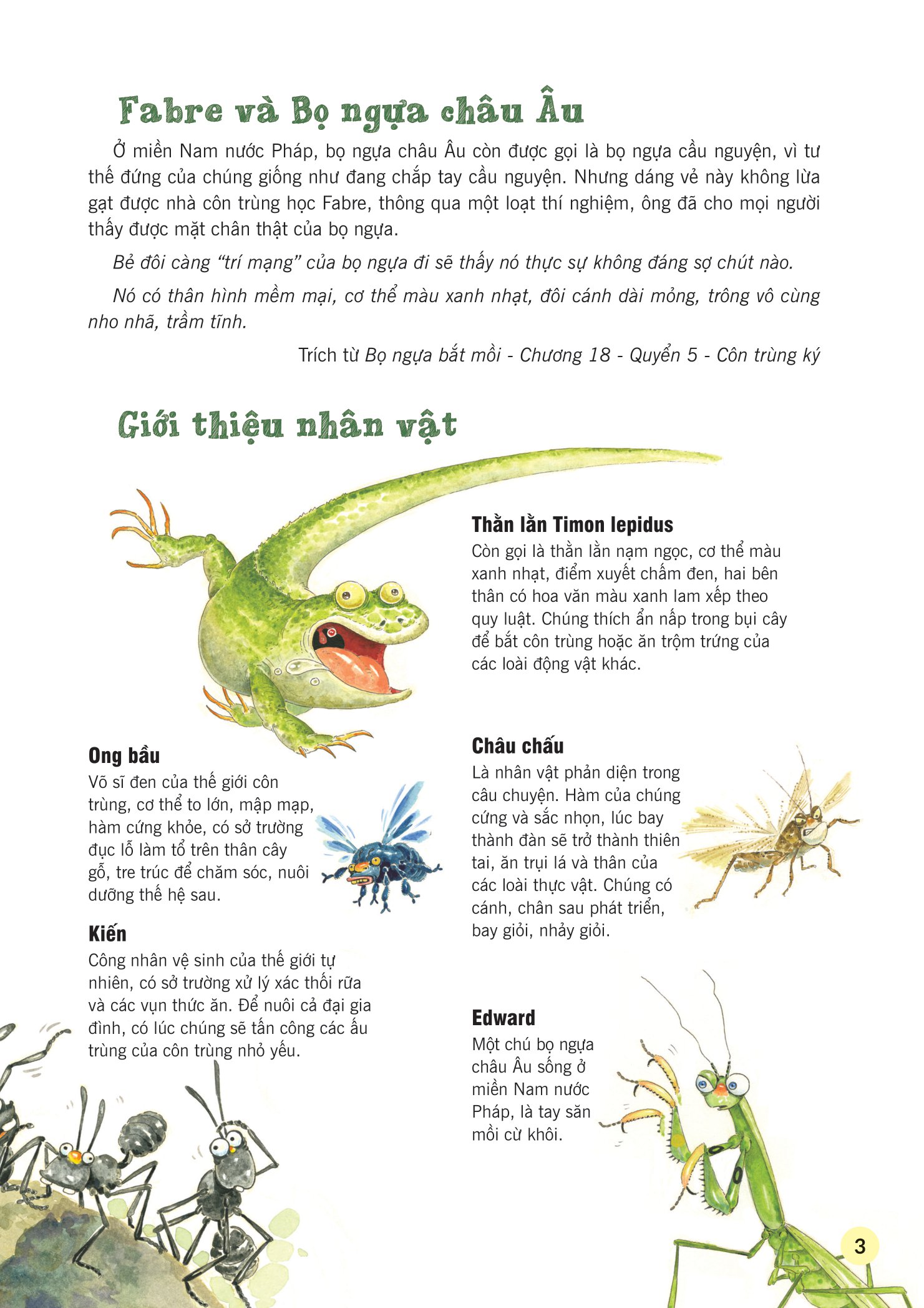 truyện tranh khoa học về các loài côn trùng - hiệp sĩ dũng cảm - bọ ngựa