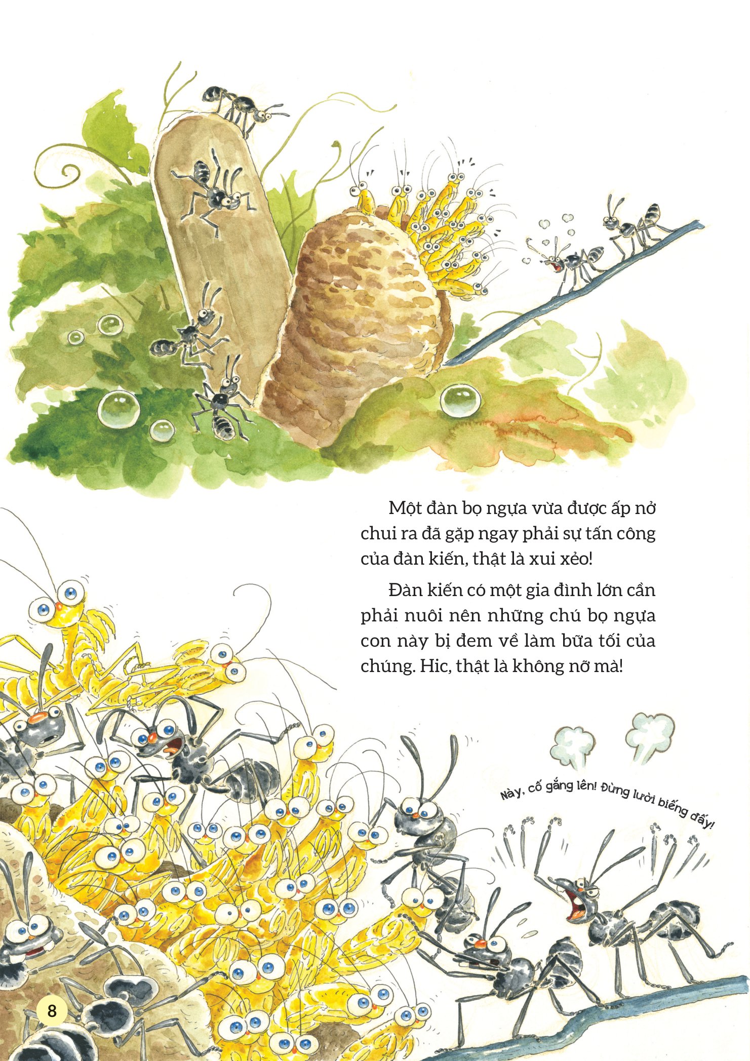 truyện tranh khoa học về các loài côn trùng - hiệp sĩ dũng cảm - bọ ngựa
