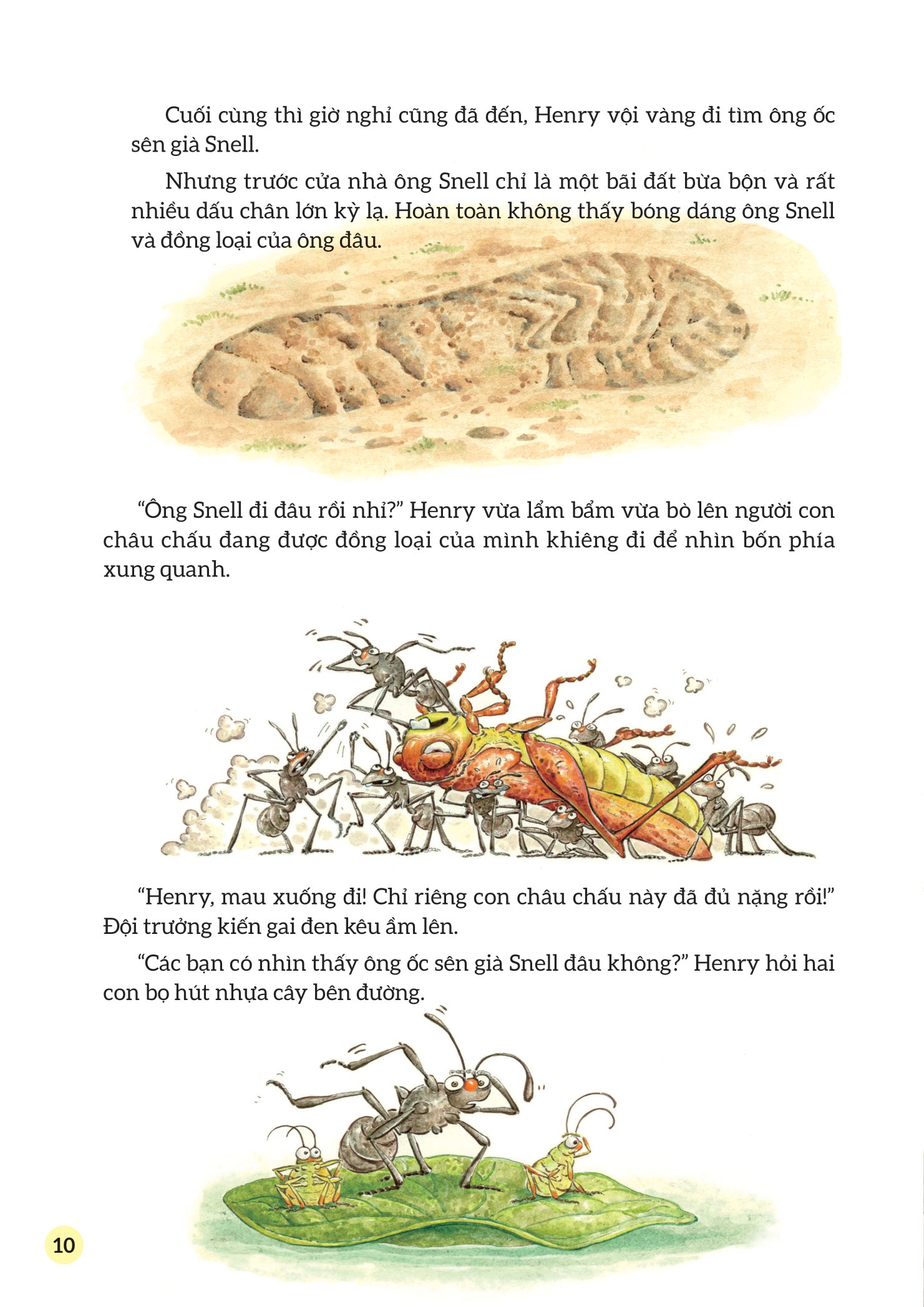 truyện tranh khoa học về các loài côn trùng - người bạn đáng ngờ - đom đóm