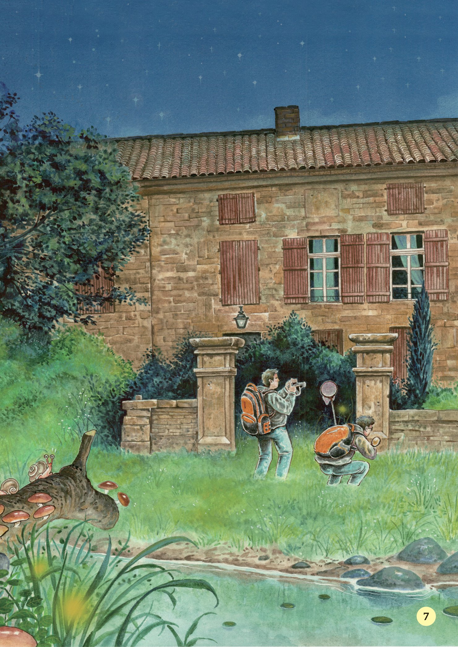 truyện tranh khoa học về các loài côn trùng - người bạn đáng ngờ - đom đóm