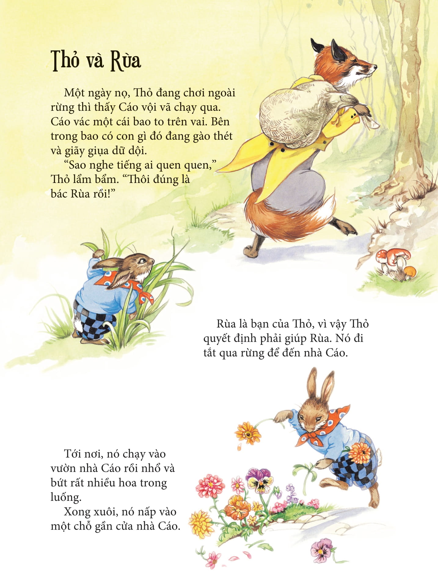 truyện về chú thỏ mưu mẹo - bìa cứng