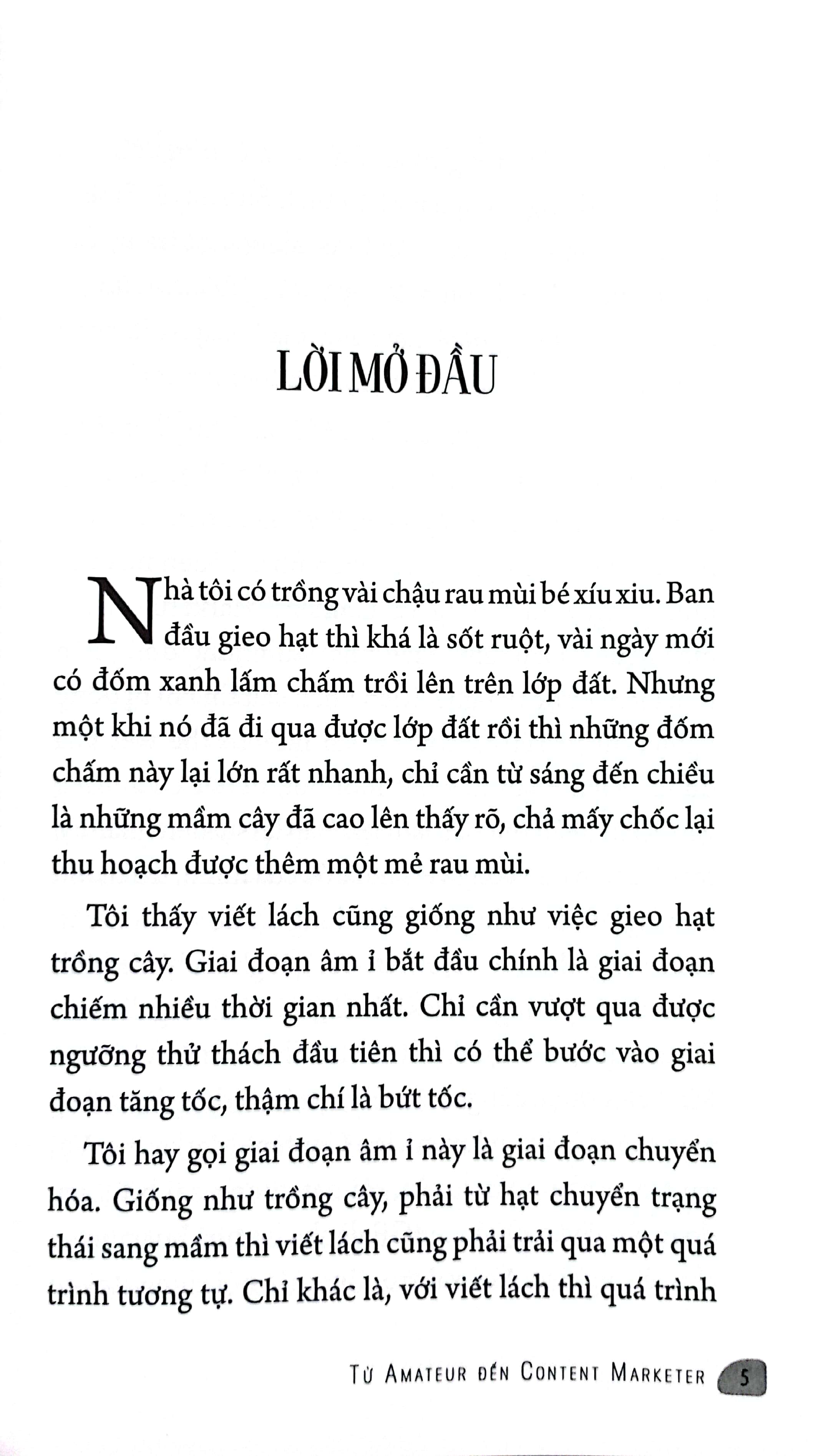 từ amateur đến content marketer