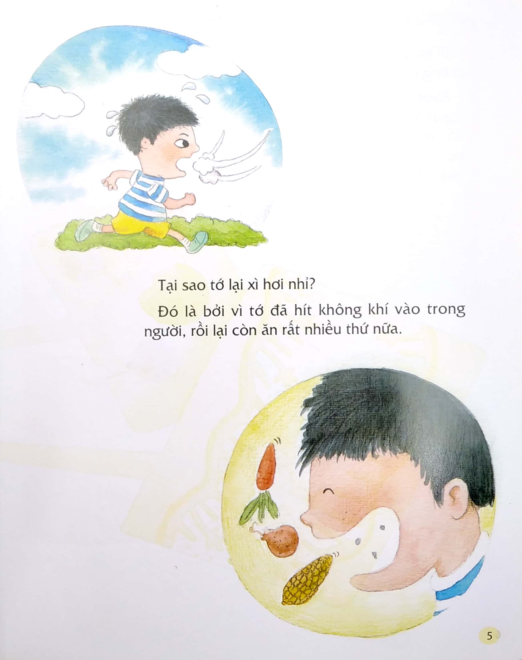 từ đầu đến chân, bao điều bí mật - chuyện xì hơi