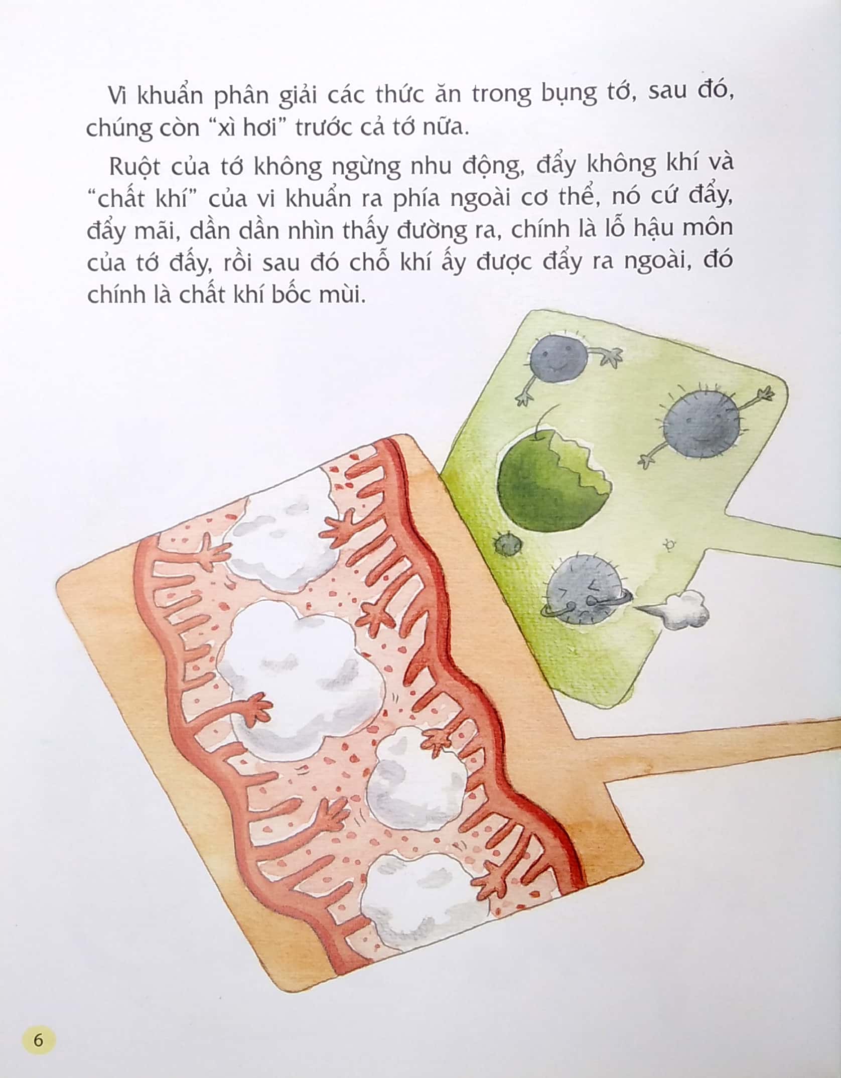 từ đầu đến chân, bao điều bí mật - chuyện xì hơi