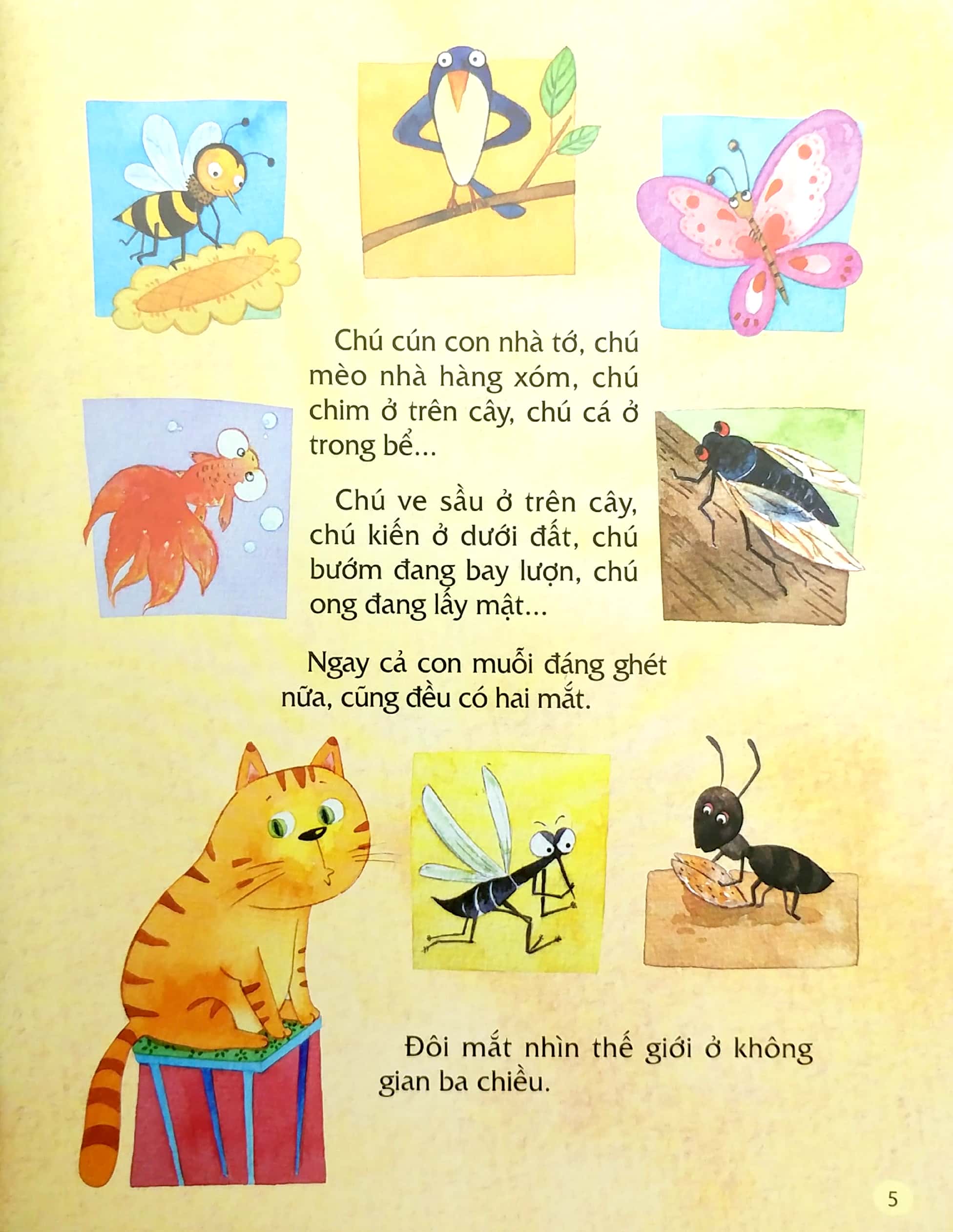 từ đầu đến chân, bao điều bí mật - đôi mắt