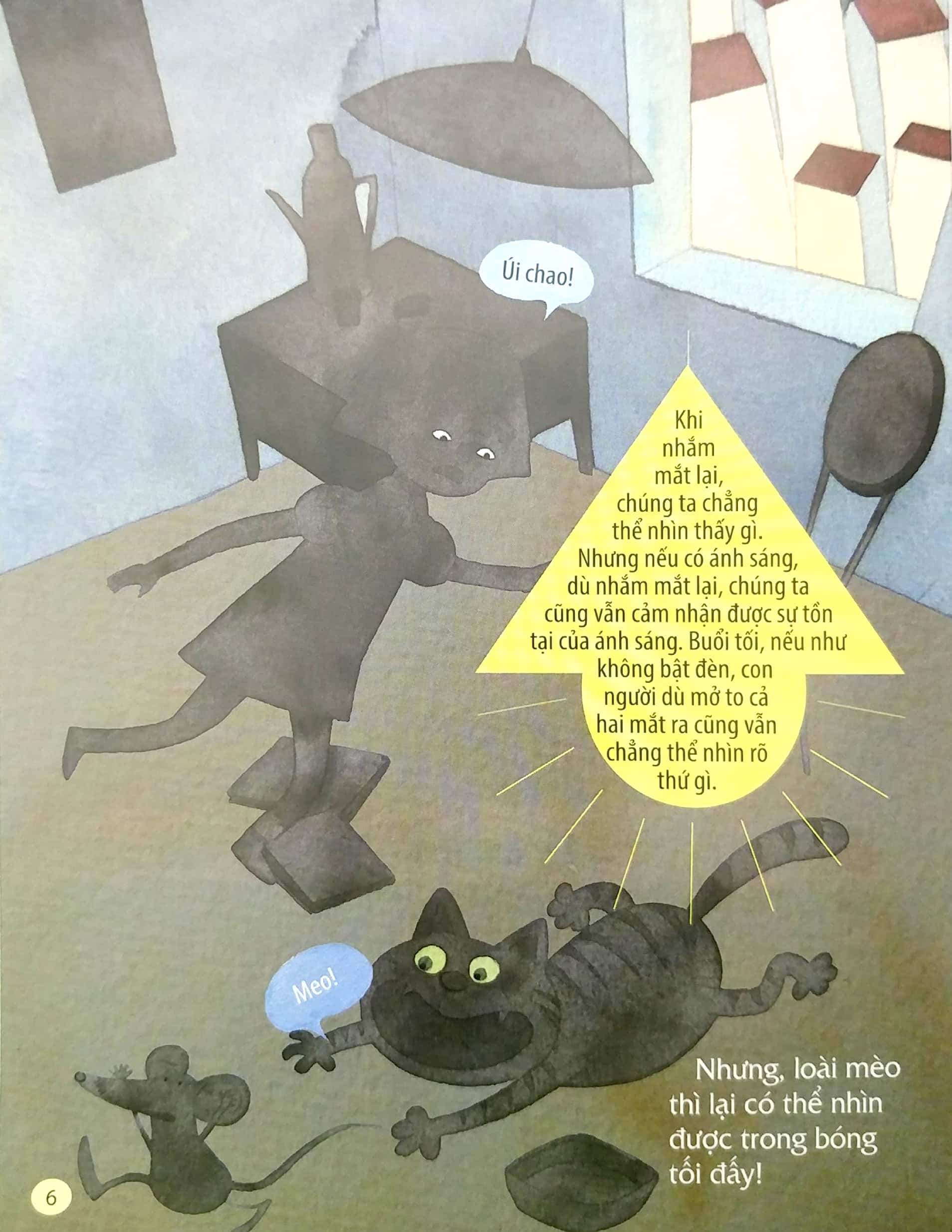 từ đầu đến chân, bao điều bí mật - đôi mắt