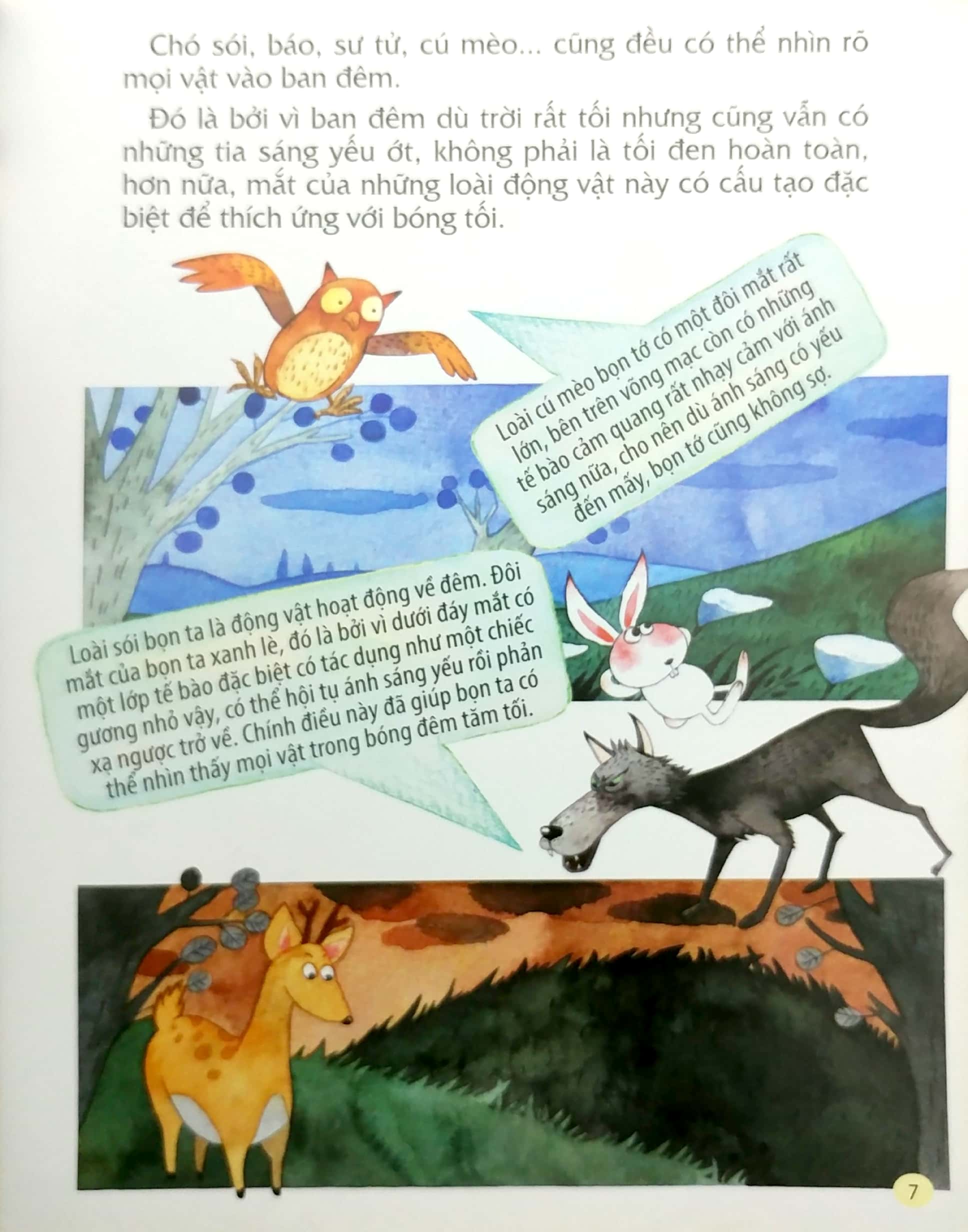 từ đầu đến chân, bao điều bí mật - đôi mắt