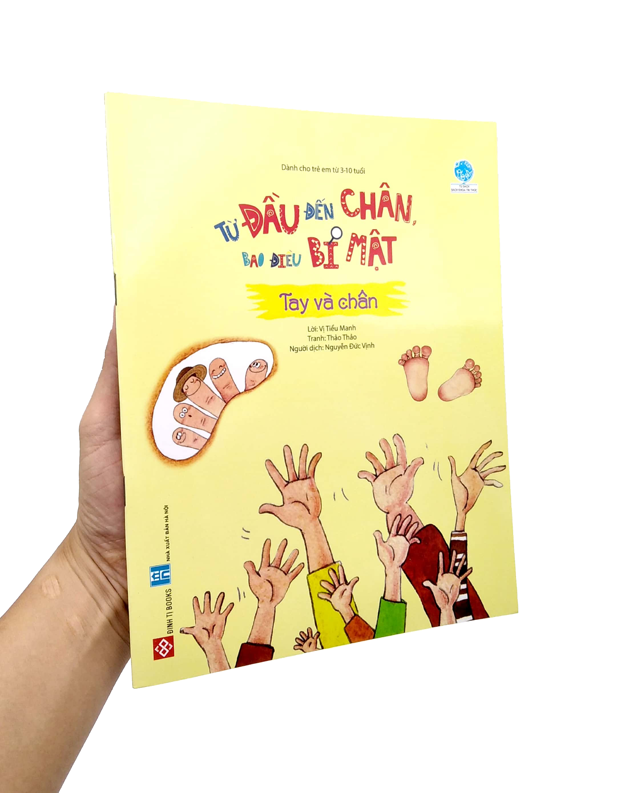 từ đầu đến chân, bao điều bí mật - tay và chân