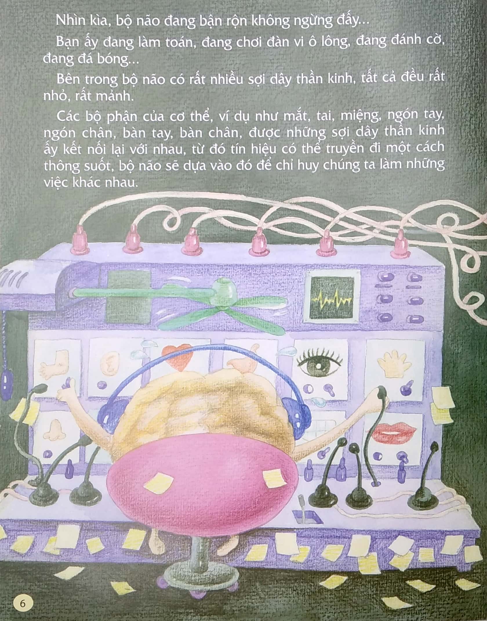 từ đầu đến chân, bao điều mới lạ - não bộ