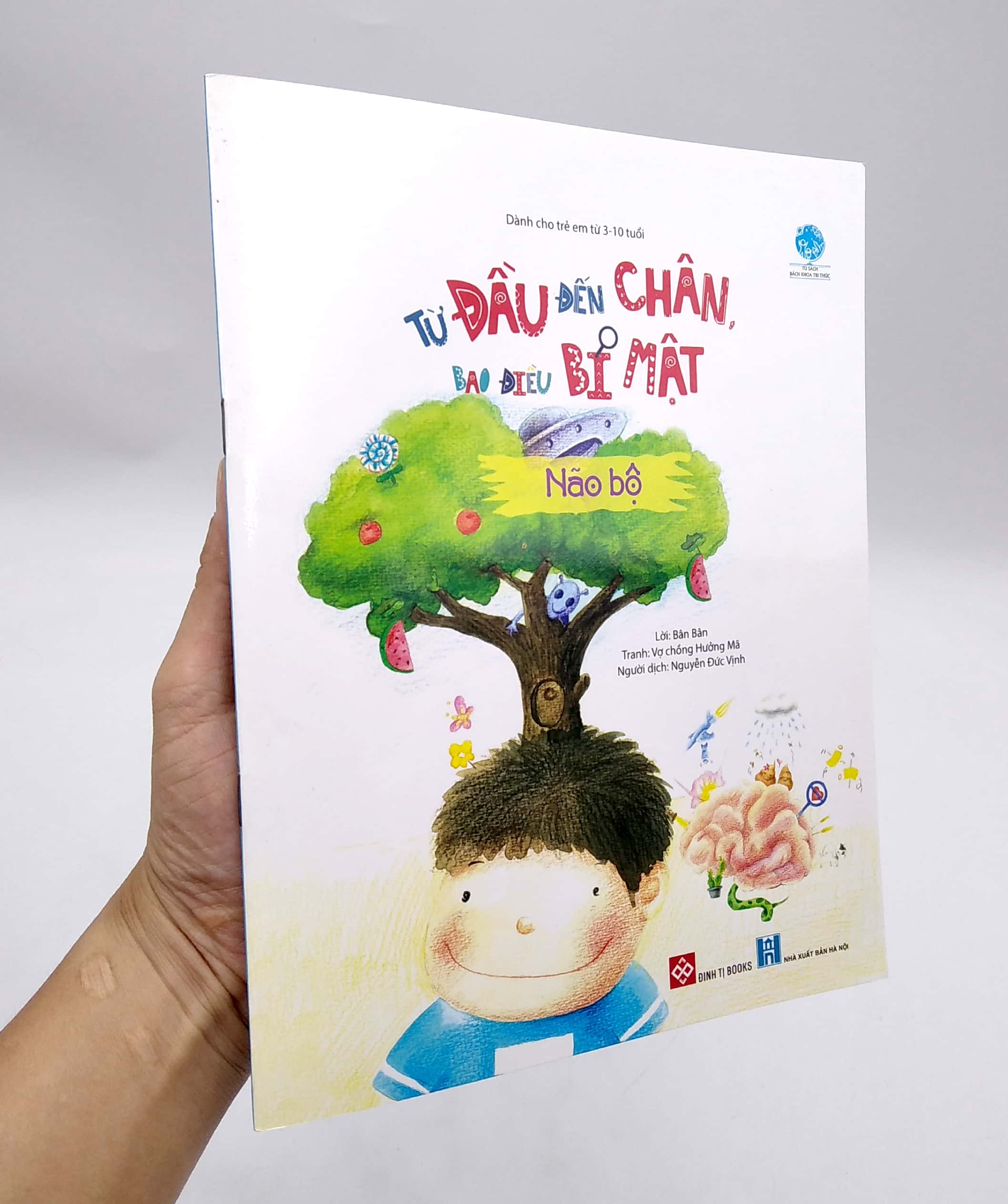 từ đầu đến chân, bao điều mới lạ - não bộ