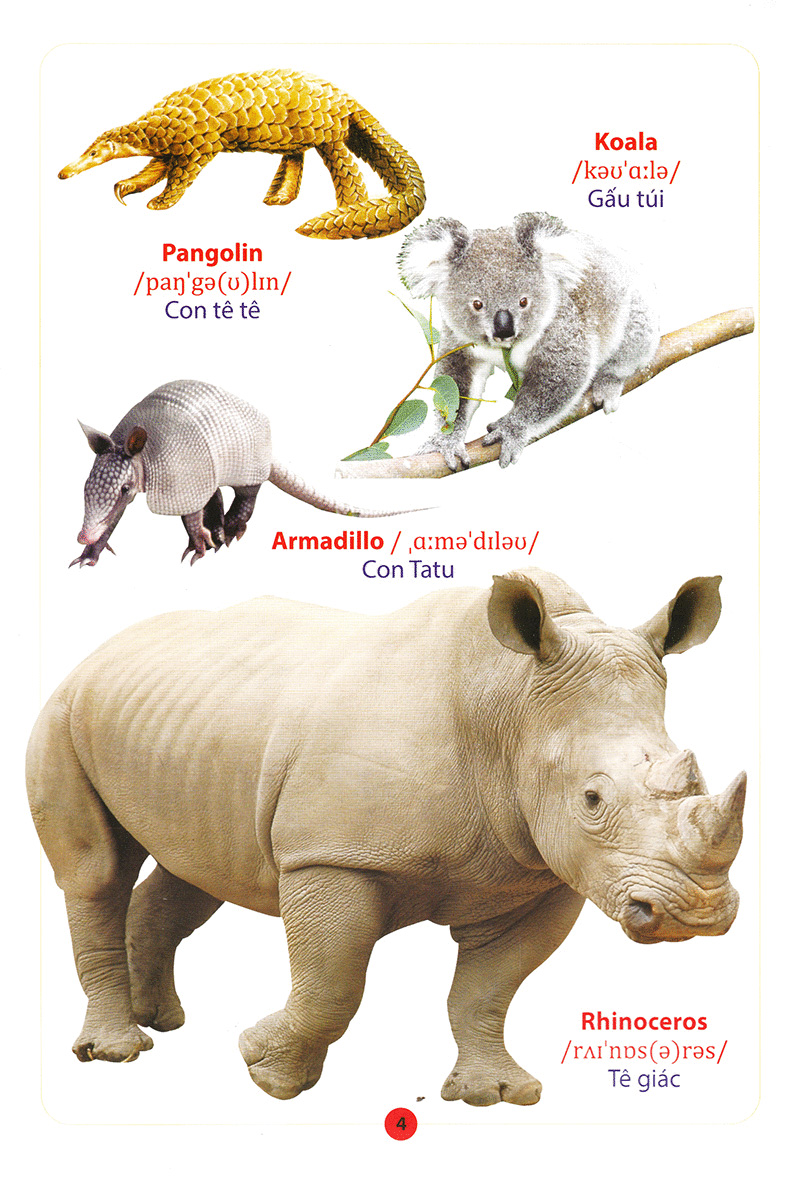 từ điển anh – việt bằng hình động vật