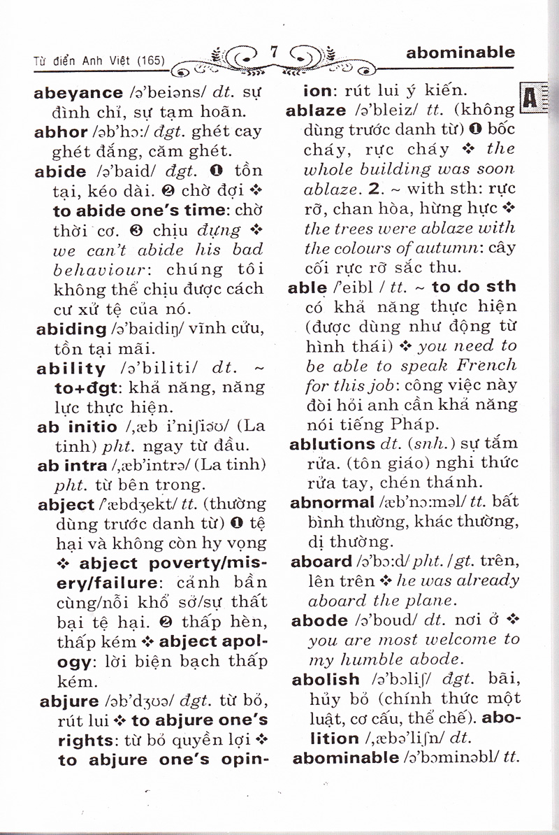 từ điển anh - việt (khoảng 165.000 từ)