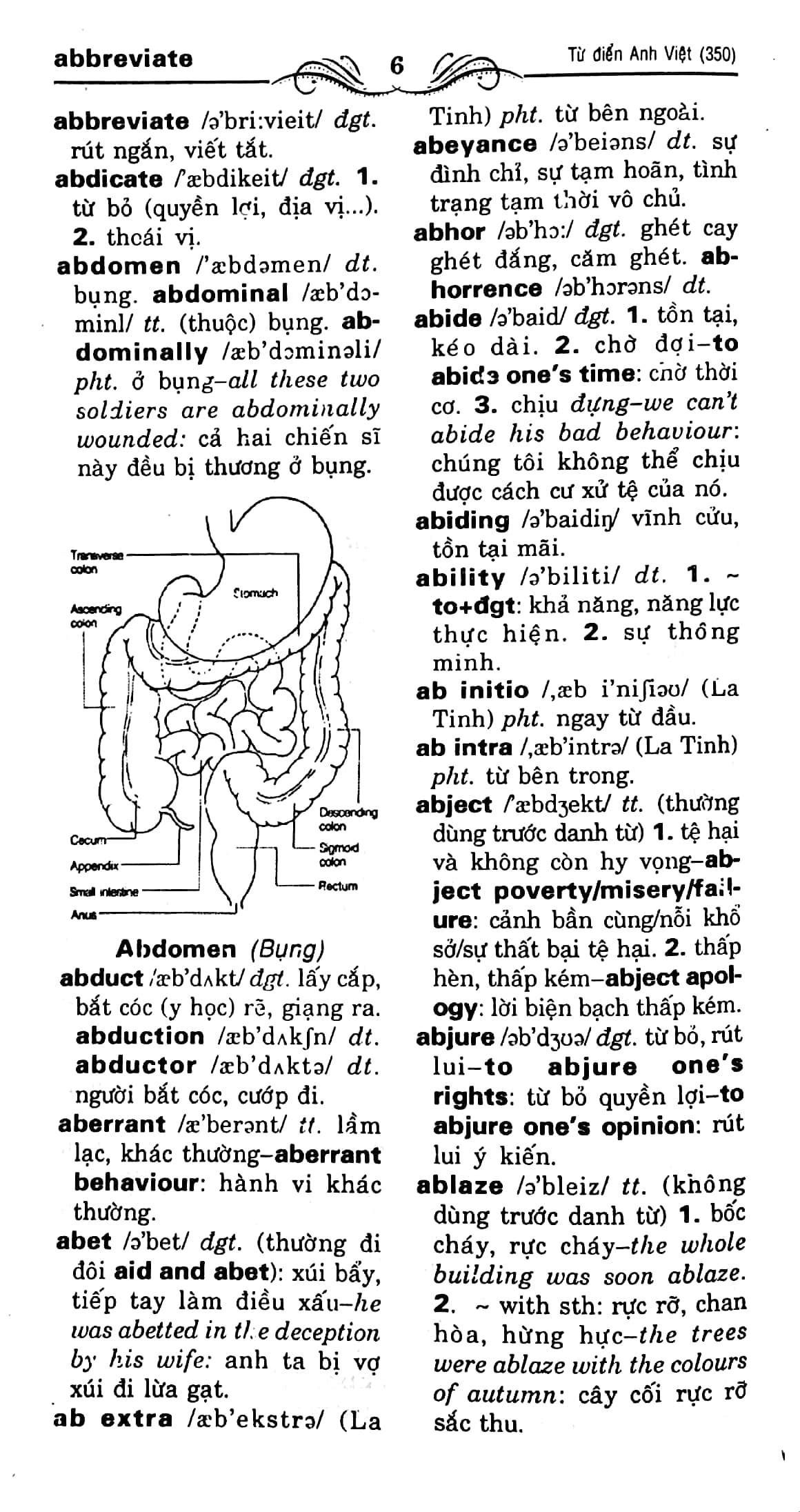 từ điển anh - việt (trên 350.000 từ)