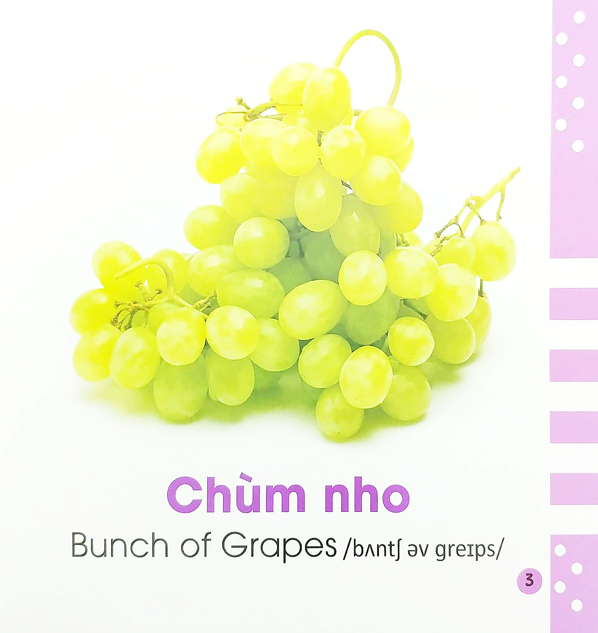 từ điển bằng hình cho bé - các loại hoa quả - fruits