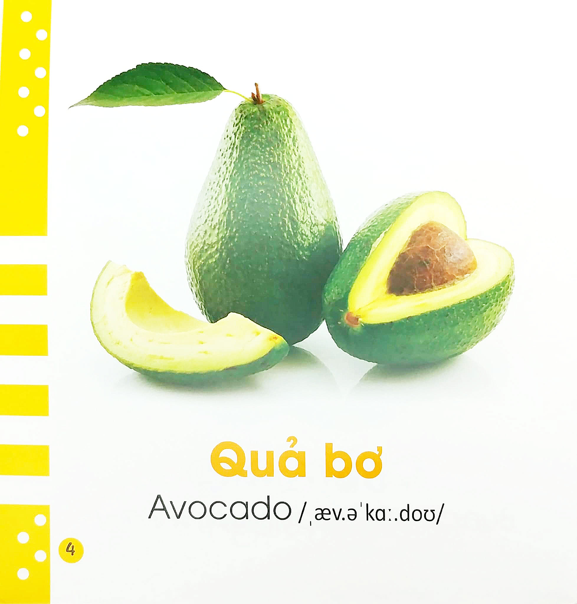 từ điển bằng hình cho bé - các loại hoa quả - fruits