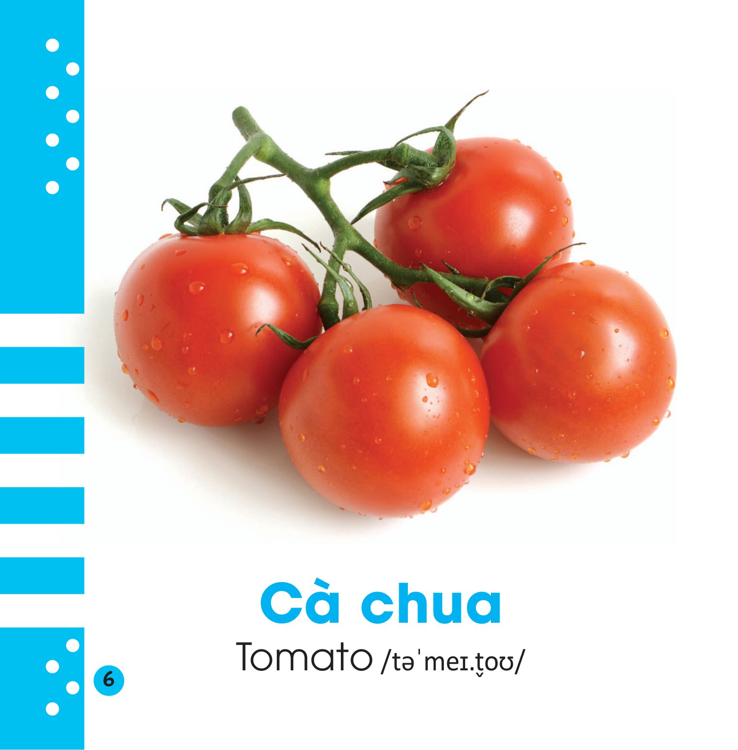 từ điển bằng hình cho bé - các loại rau củ - vegetables