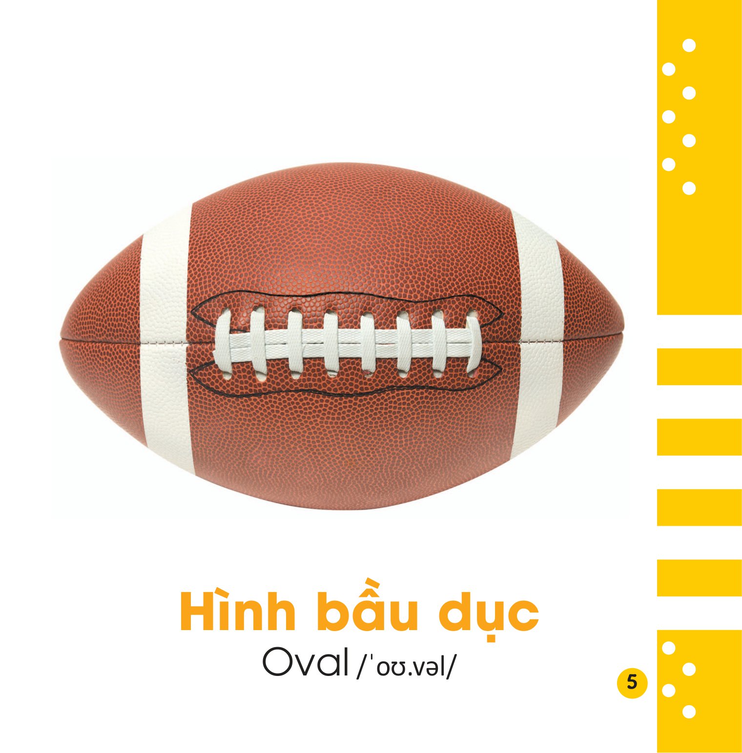 từ điển bằng hình cho bé - hình dạng và sự tương phản - shapes and opposites