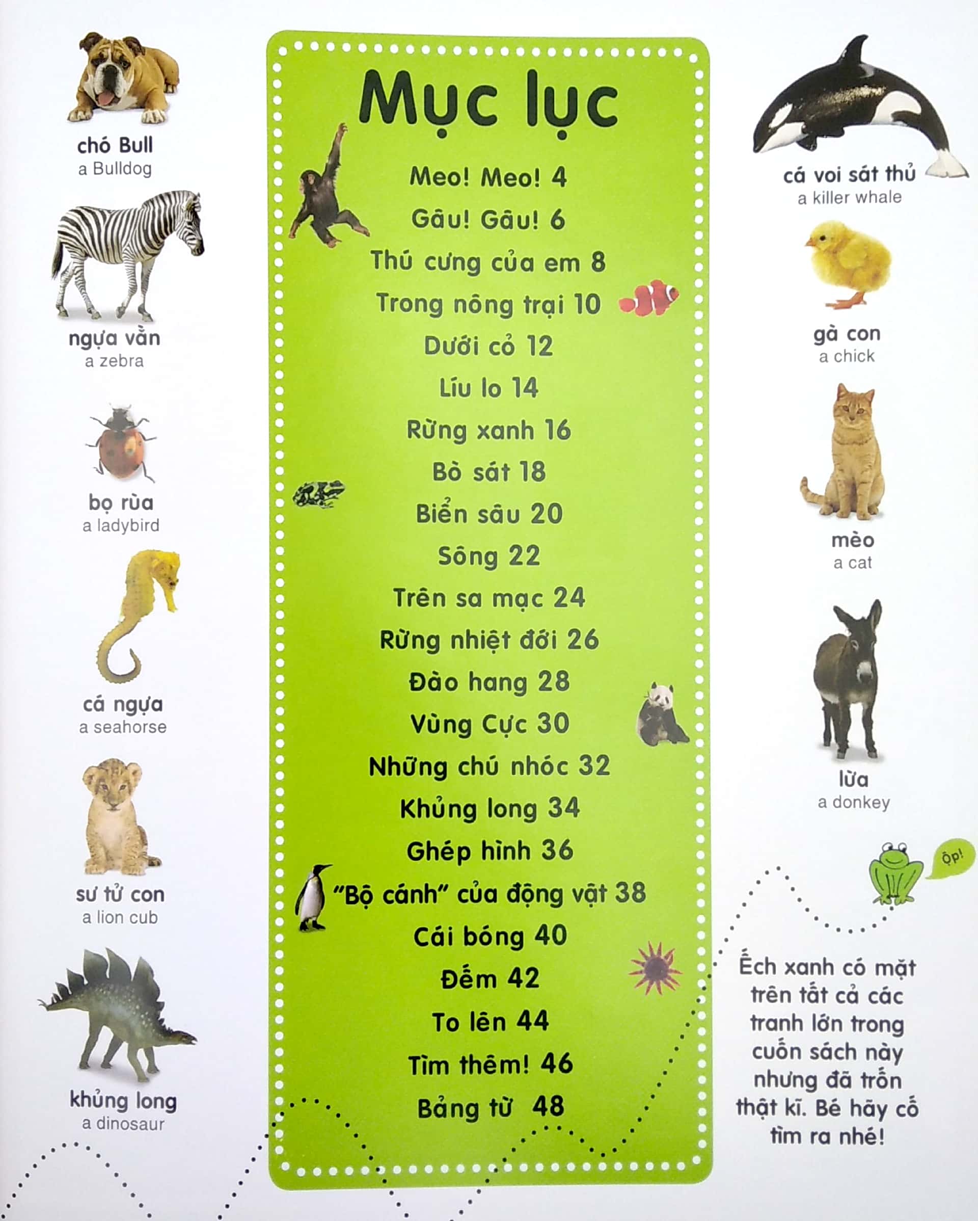 từ điển bằng hình cho trẻ mầm non - động vật (tái bản 2020)