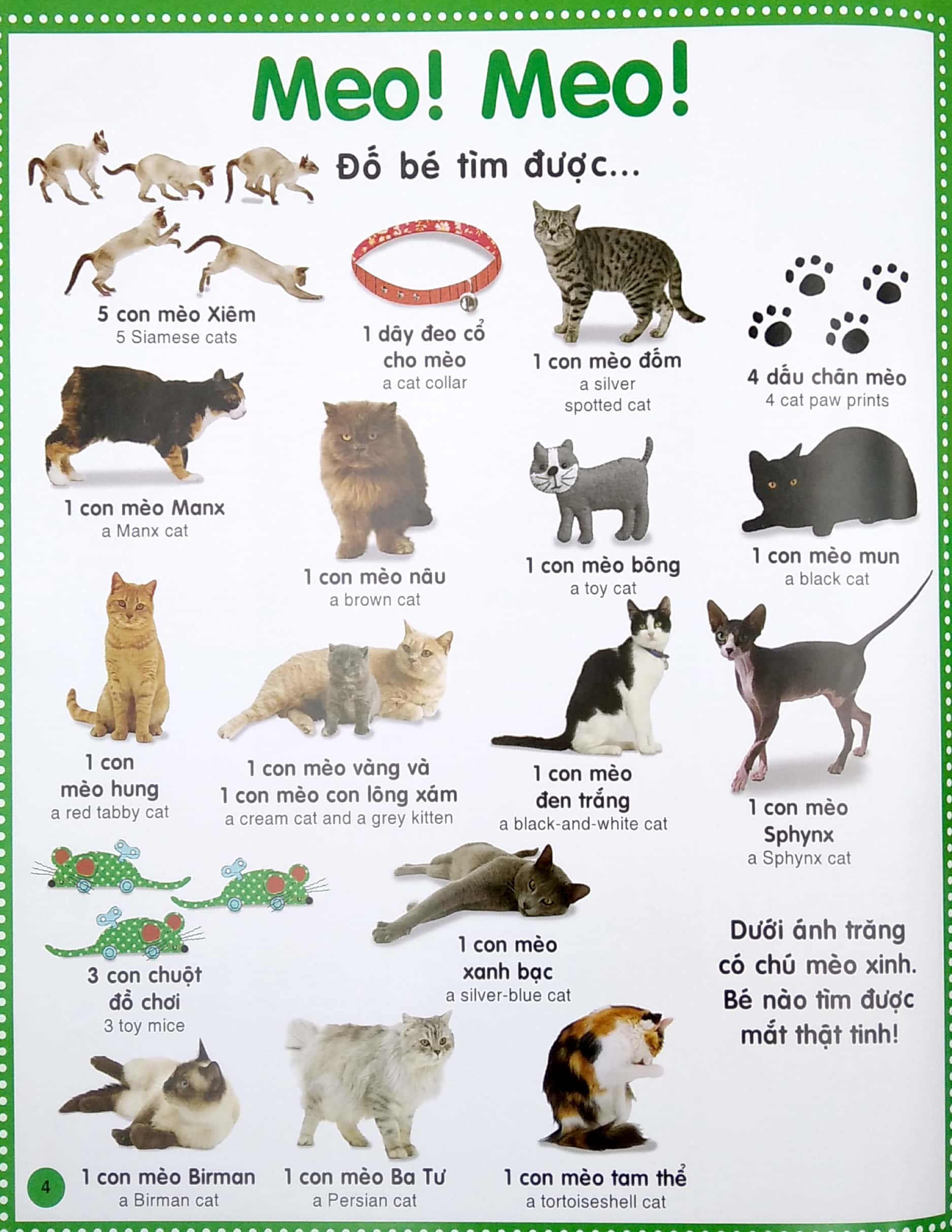 từ điển bằng hình cho trẻ mầm non - động vật (tái bản 2020)