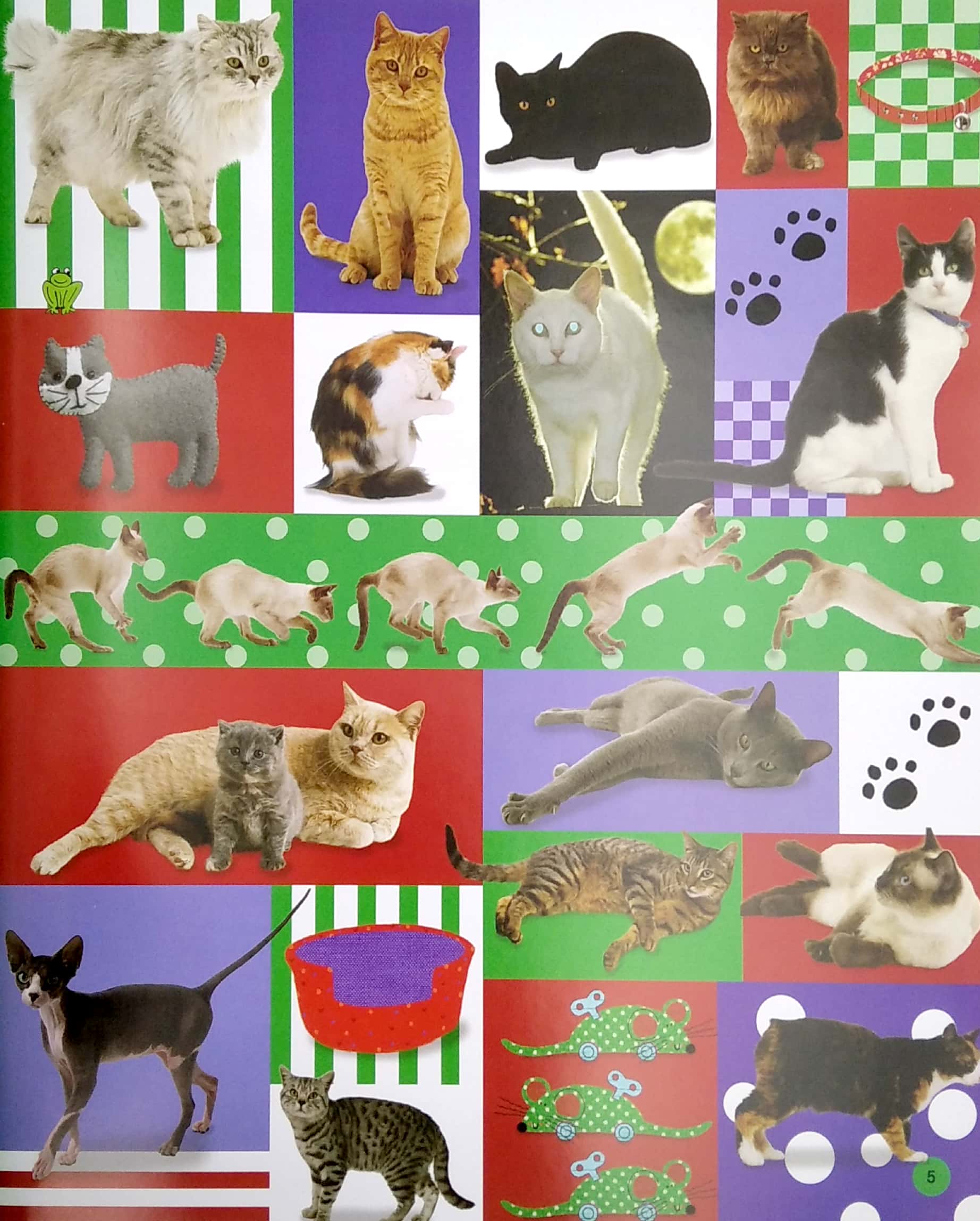 từ điển bằng hình cho trẻ mầm non - động vật (tái bản 2020)