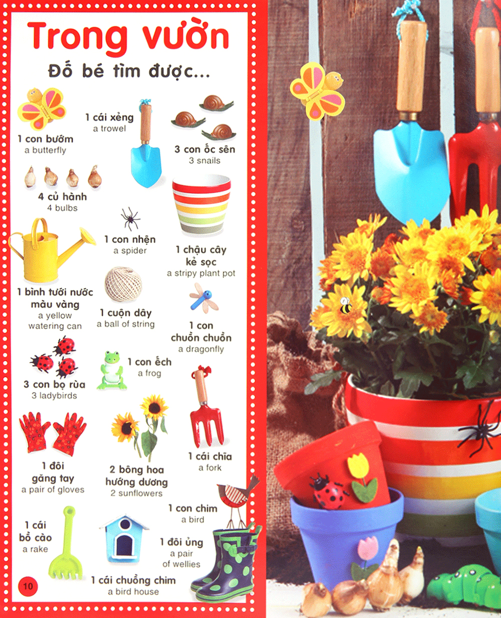 từ điển bằng hình cho trẻ mầm non - những từ đầu tiên (tái bản 2019)