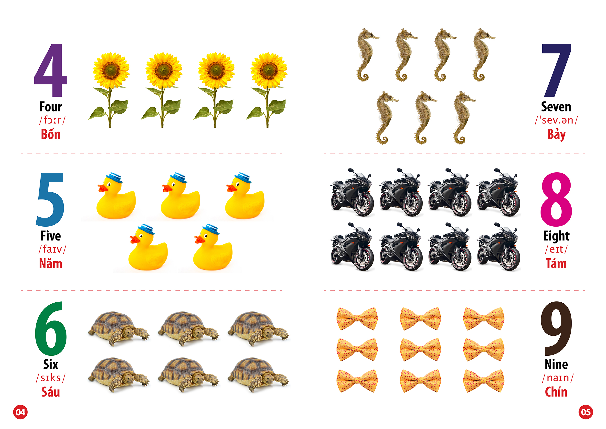 từ điển bằng hình chữ cái và số đếm (song ngữ anh - việt)